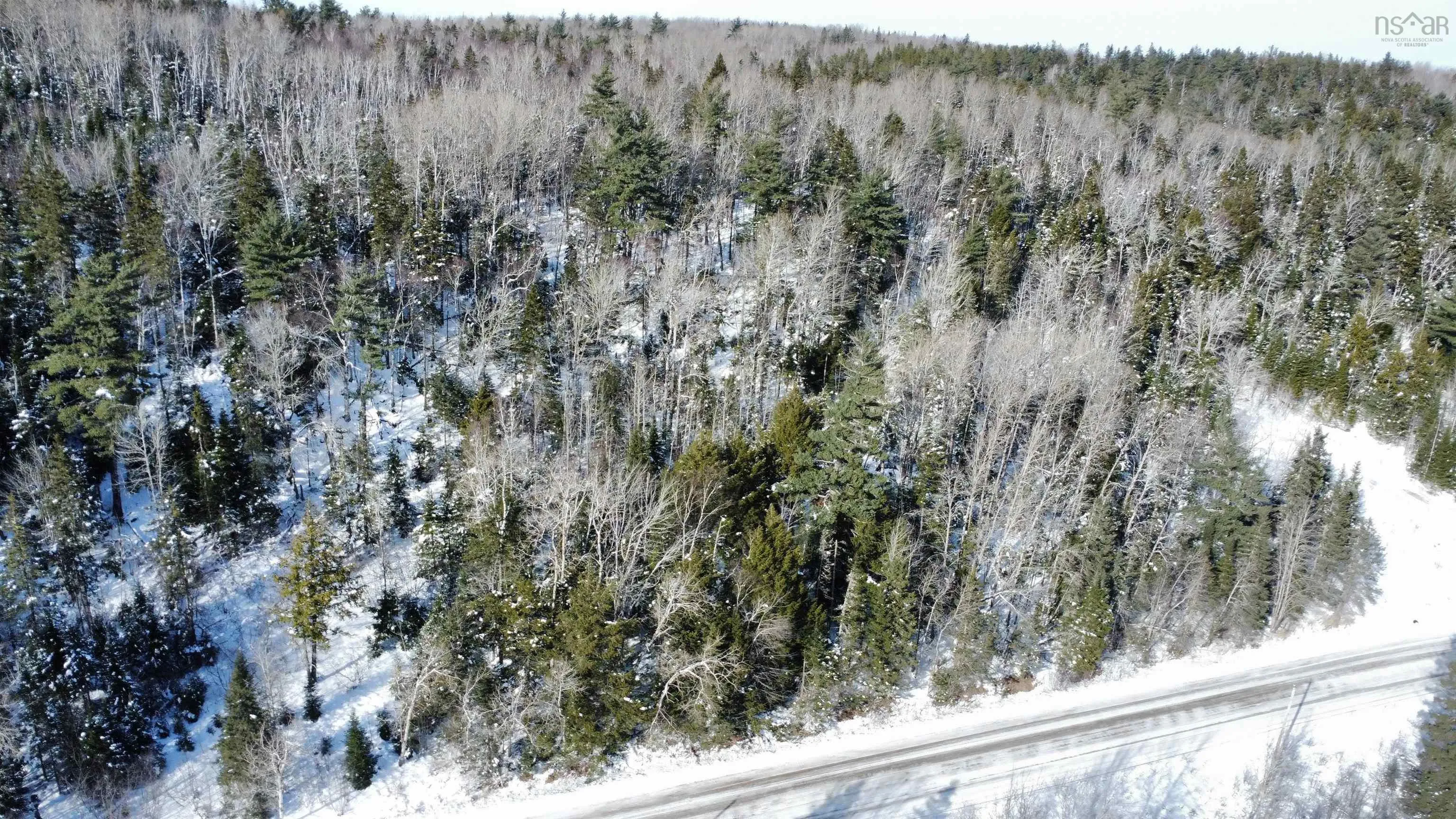 Thomson Road, Birchwood Ns B0m 1p0, ,Land,For Sale,Thomson,202502486