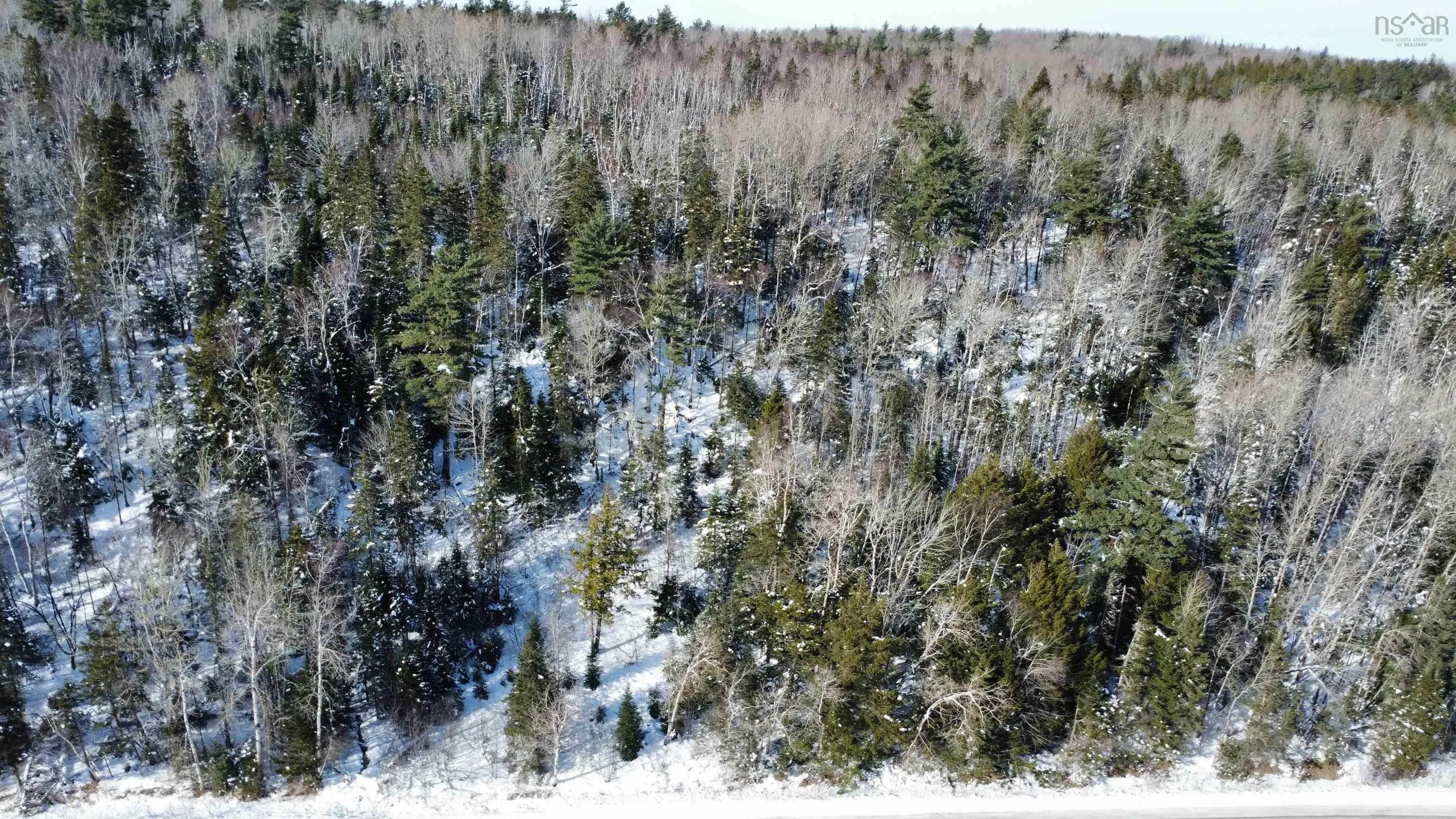 Thomson Road, Birchwood Ns B0m 1p0, ,Land,For Sale,Thomson,202502486