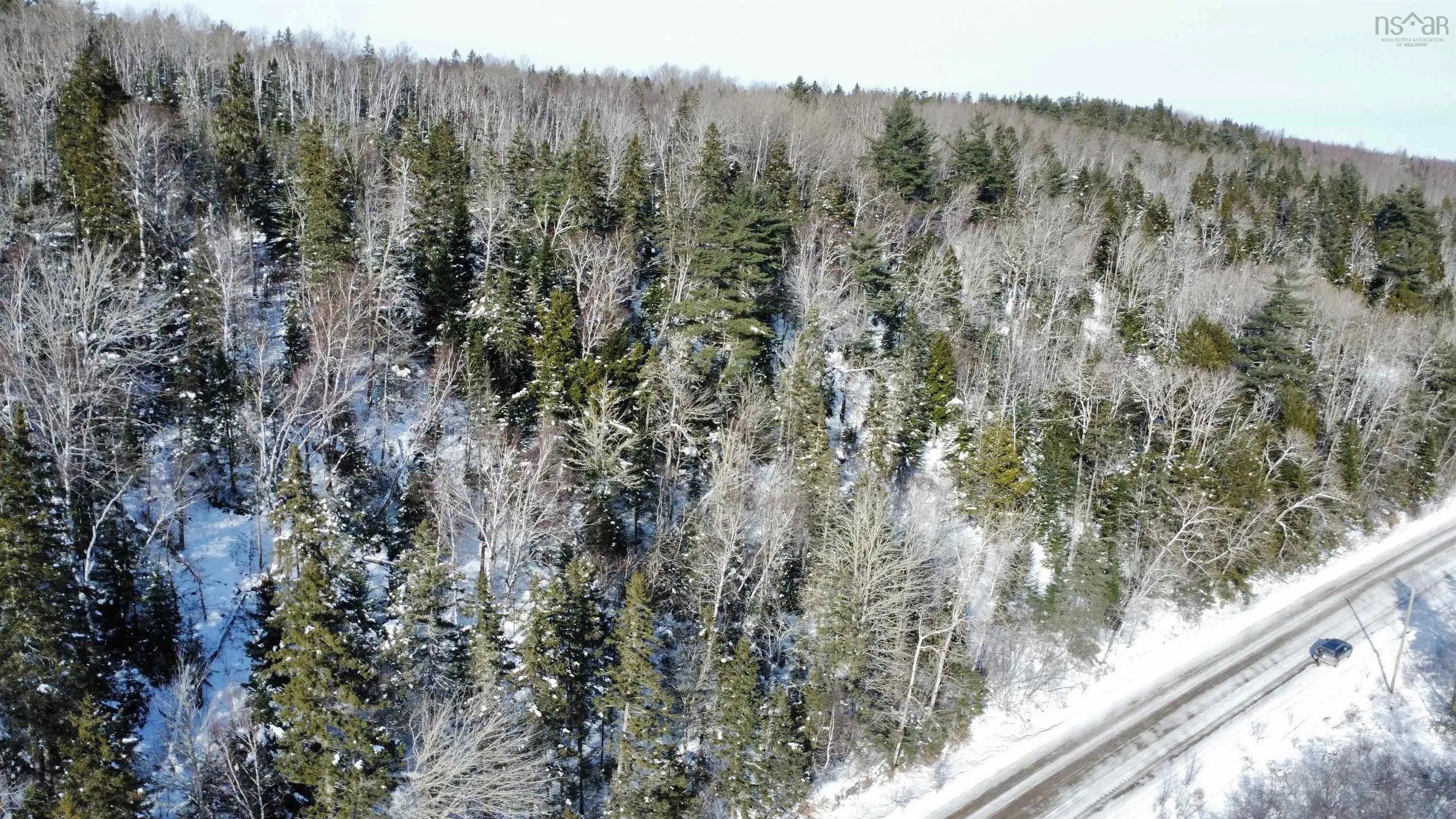 Thomson Road, Birchwood Ns B0m 1p0, ,Land,For Sale,Thomson,202502486