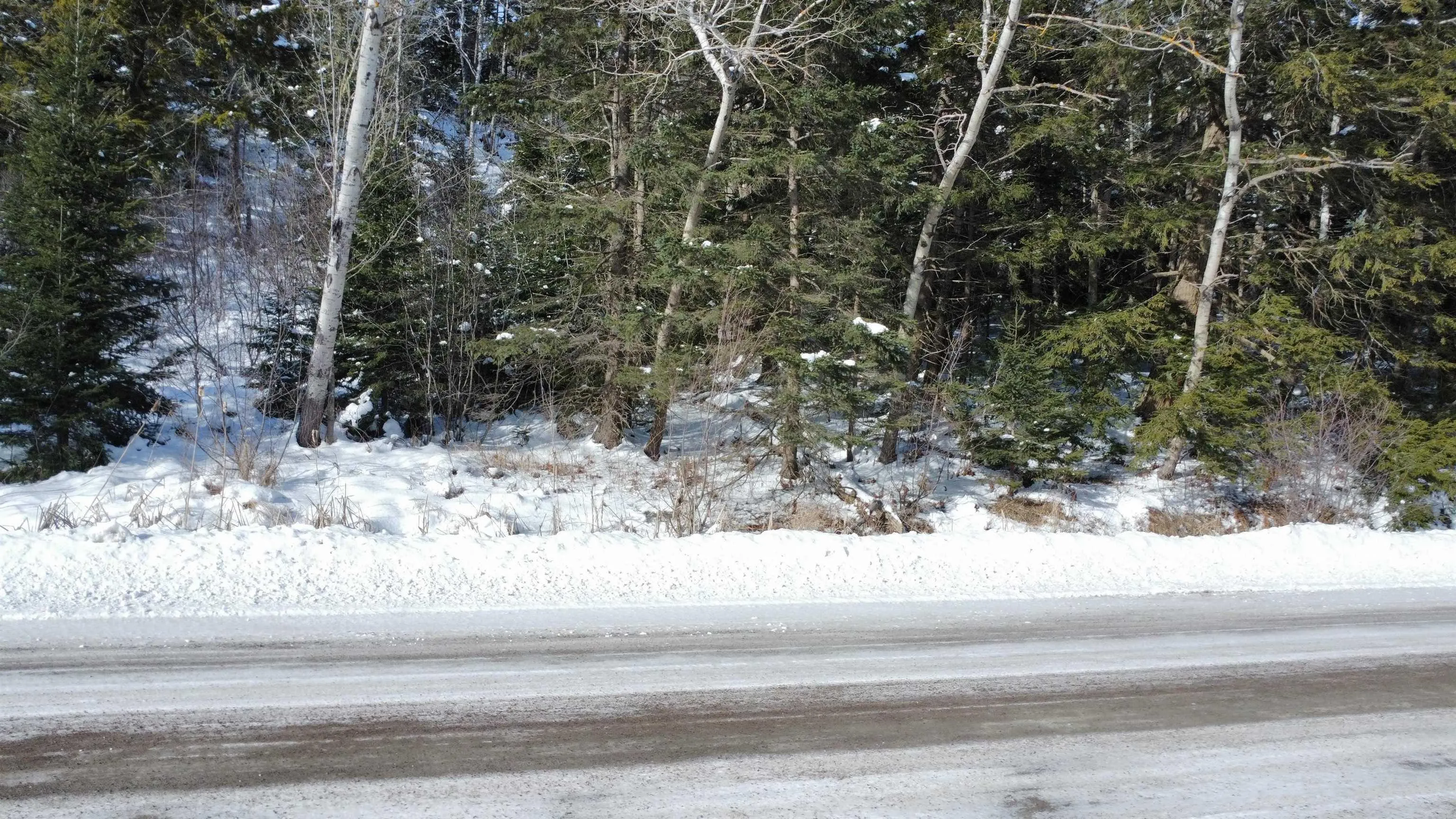 Thomson Road, Birchwood Ns B0m 1p0, ,Land,For Sale,Thomson,202502486