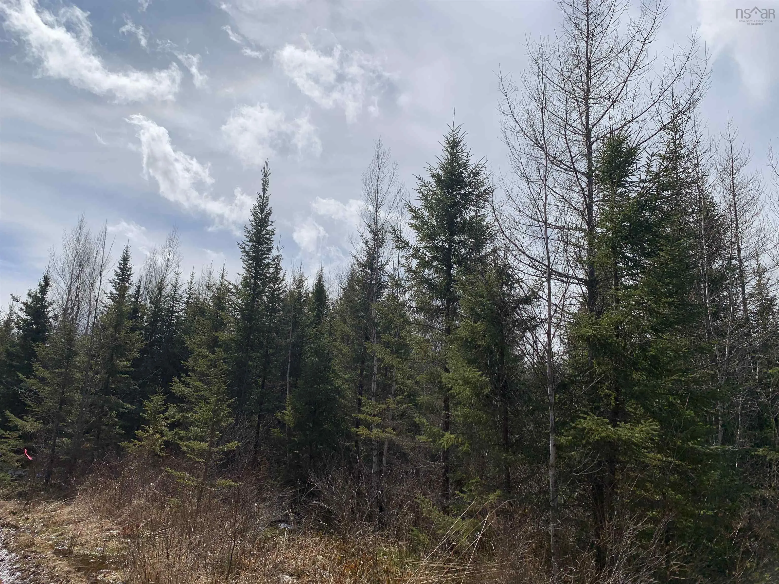 Lot 3 A/b Hunter Road, Wentworth Valley Ns B0m 1z0, ,Land,For Sale,Hunter West,202507664
