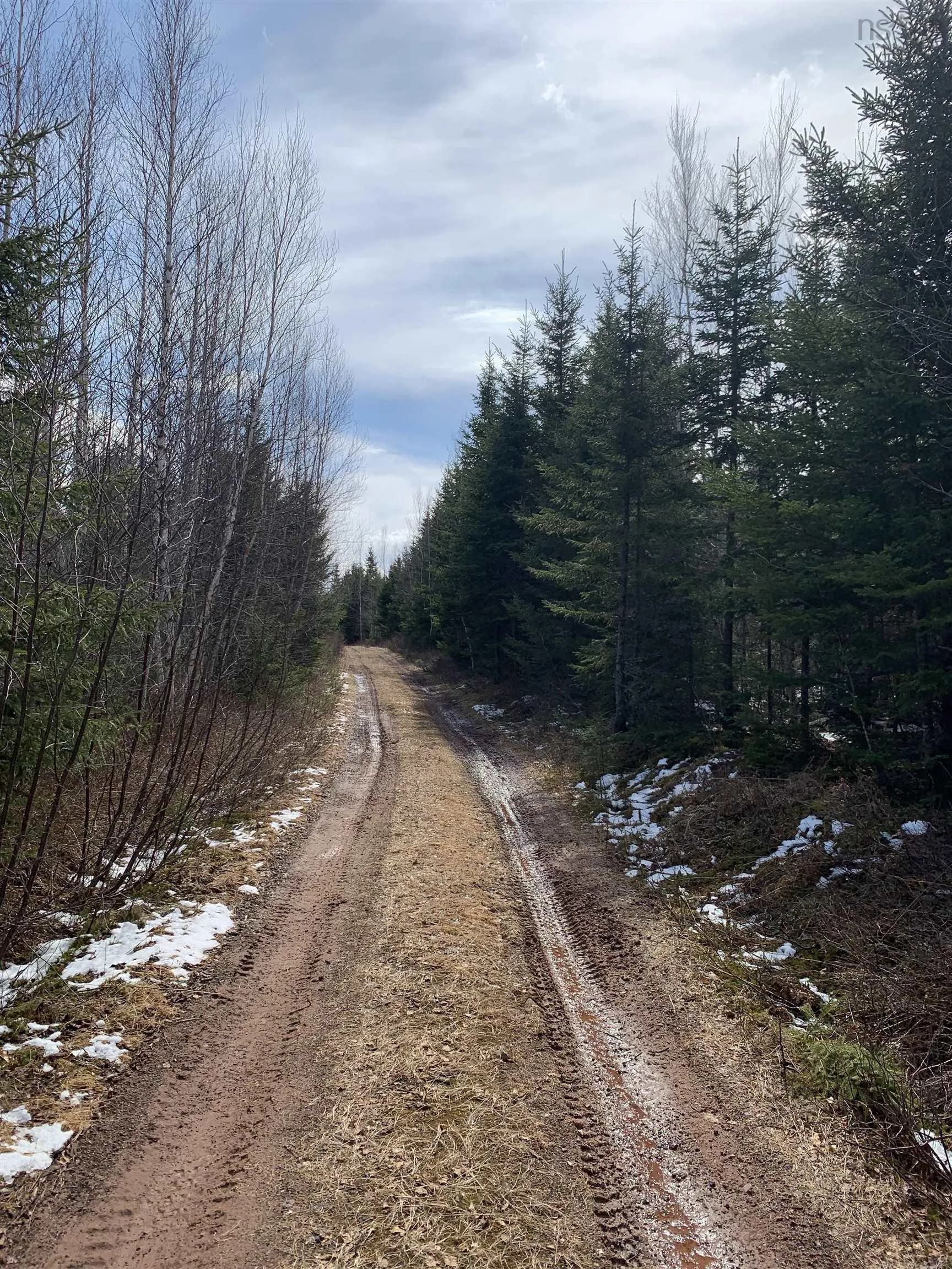 Lot 3 A/b Hunter Road, Wentworth Valley Ns B0m 1z0, ,Land,For Sale,Hunter West,202507664
