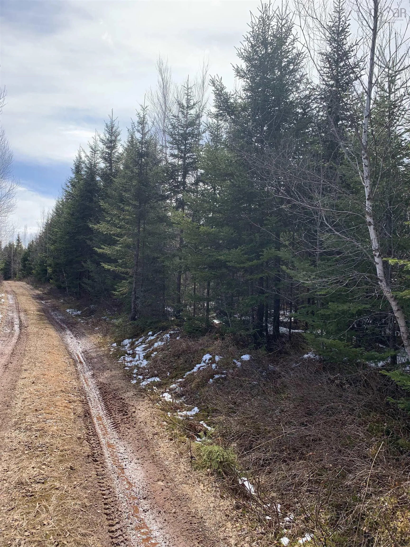 Lot 3 A/b Hunter Road, Wentworth Valley Ns B0m 1z0, ,Land,For Sale,Hunter West,202507664
