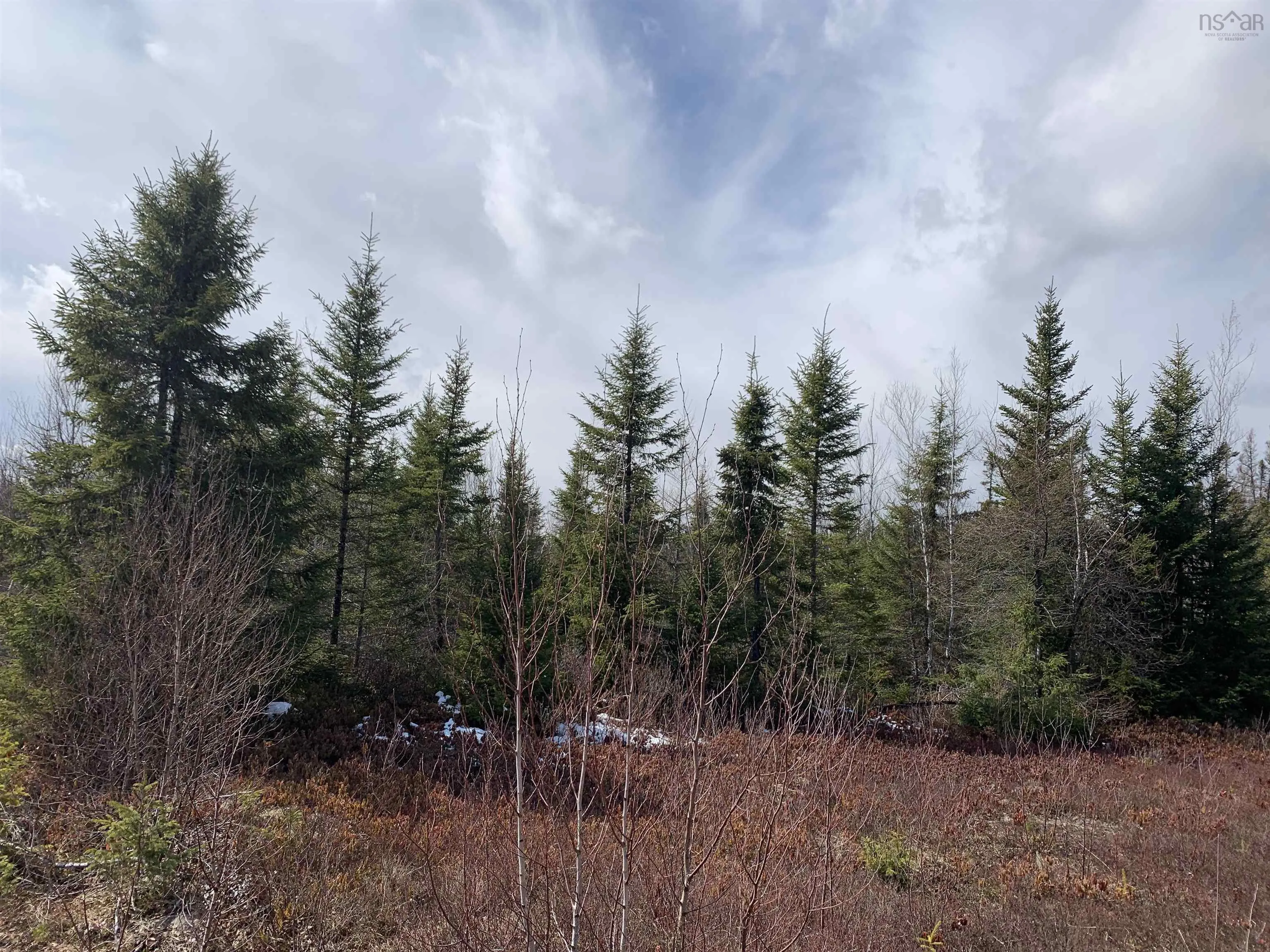 Lot 3 A/b Hunter Road, Wentworth Valley Ns B0m 1z0, ,Land,For Sale,Hunter West,202507664