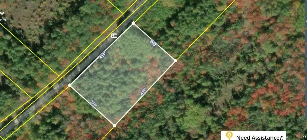 Pid#70175823 Highway 210, Bucklaw Ns B0t 1e0, ,Land,For Sale,(Pid 70175823) Highway 210,202510623