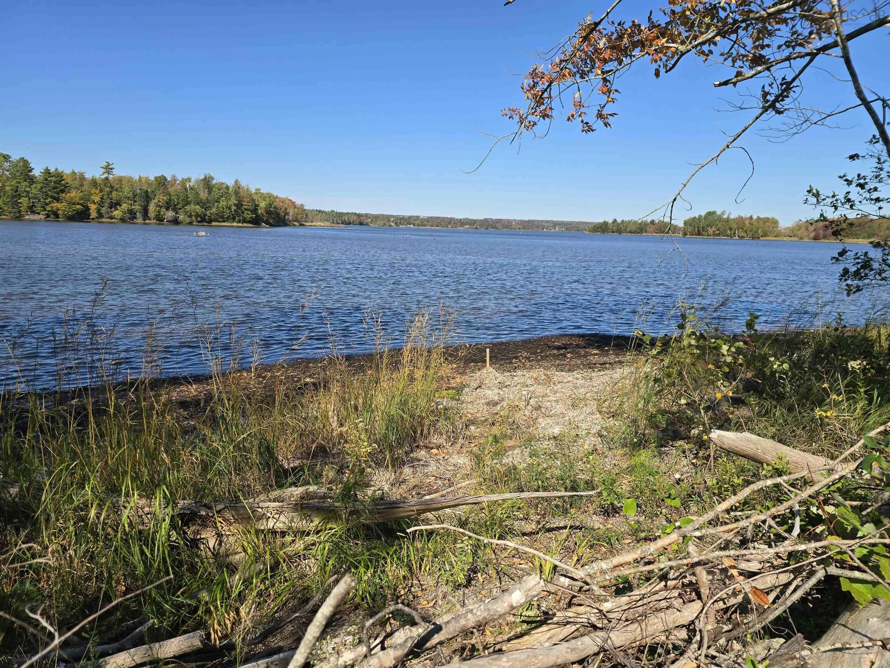Loch Broom Loop, Loch Broom, NS B0K 2A0, ,Land,For Sale,Loch Broom,202525654