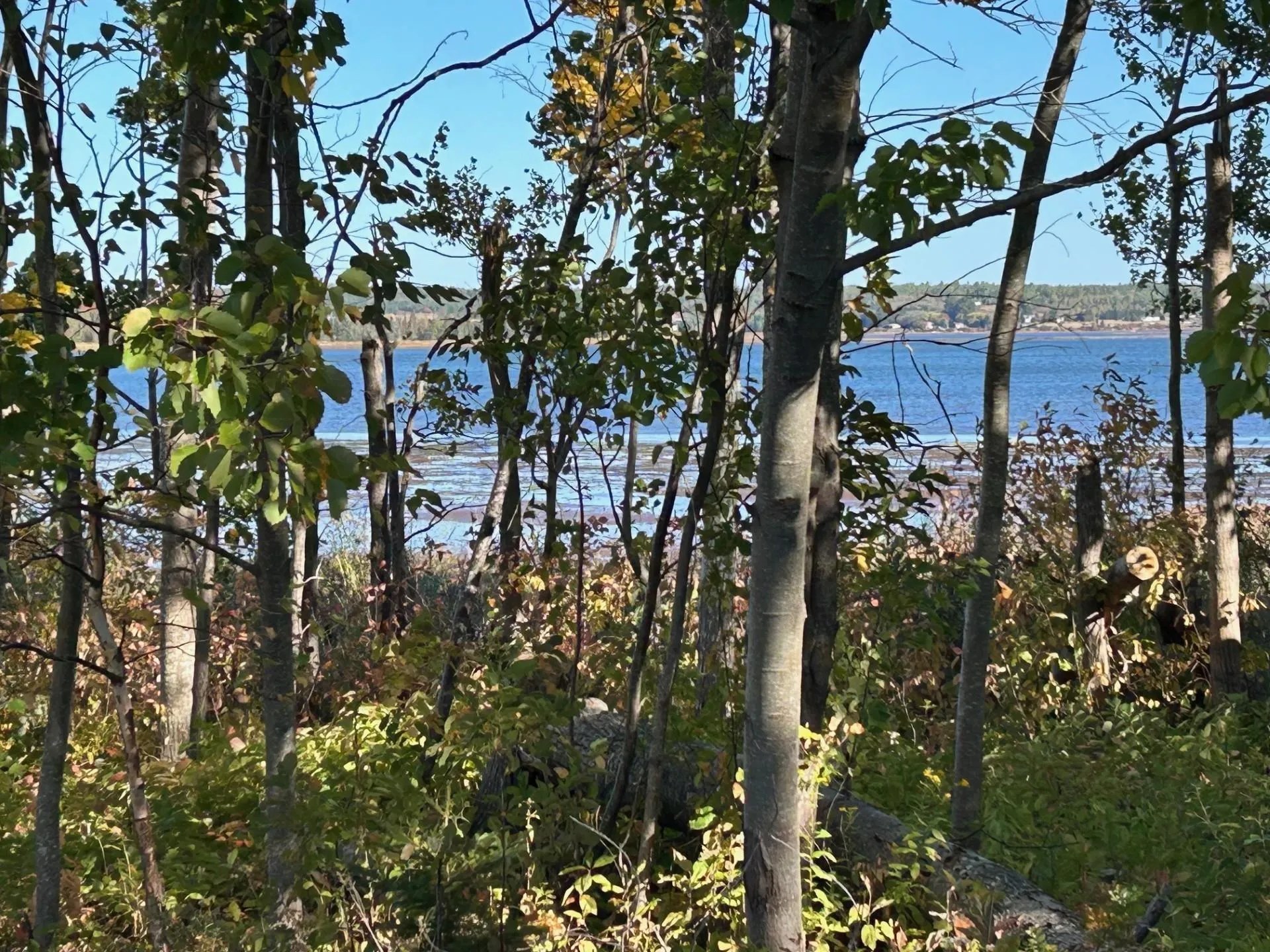 30 Sailors Rest Lane Lot 2, Bayhead, NS B0K 1V0, ,Land,For Sale,Sailors Rest,202524790
