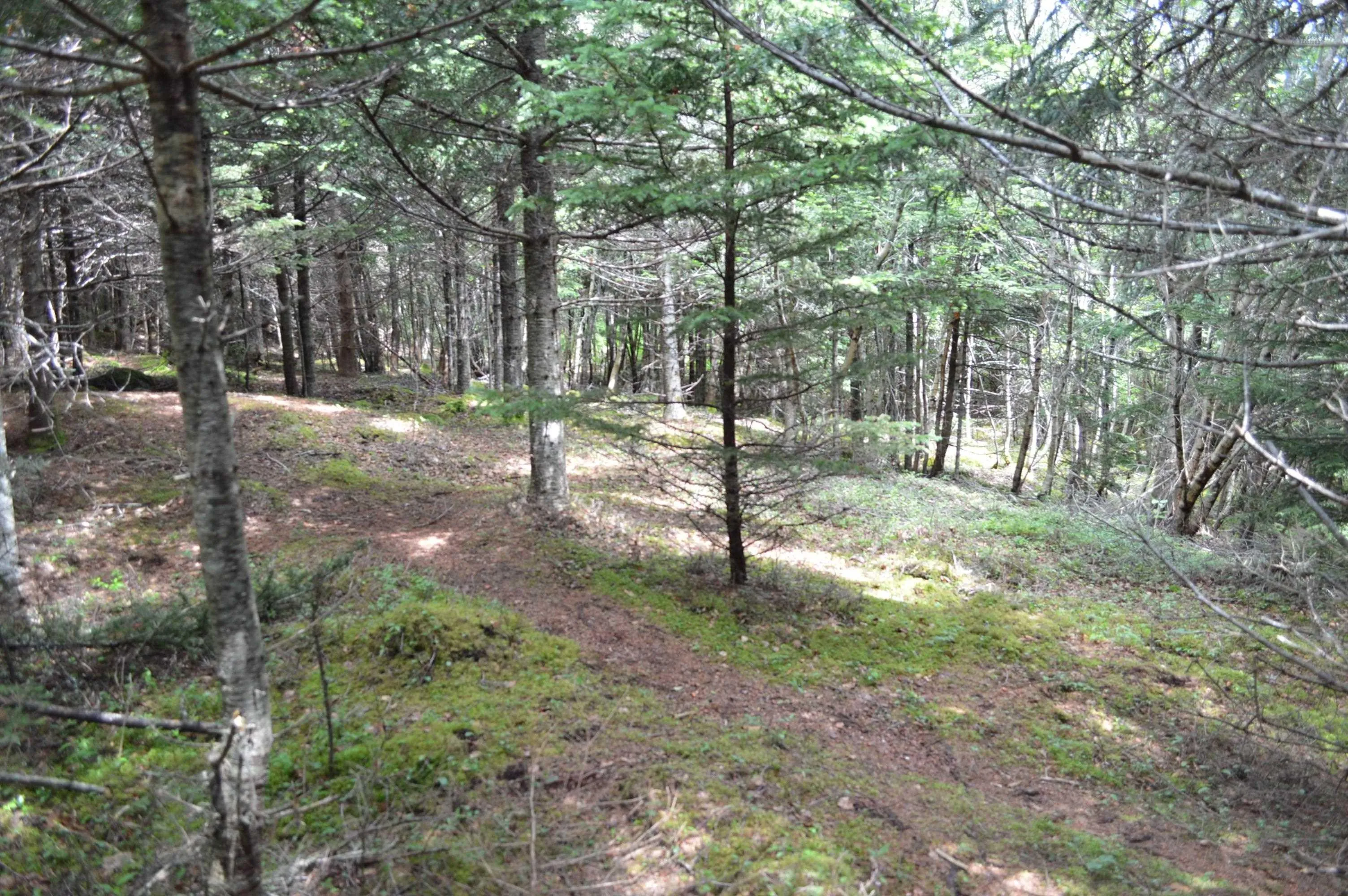 Portion Of 60169216 Blue Rocks Road, Garden Lots, NS B0J 2C0, ,Land,For Sale,Pid 60169216 Blue Rocks,202511266
