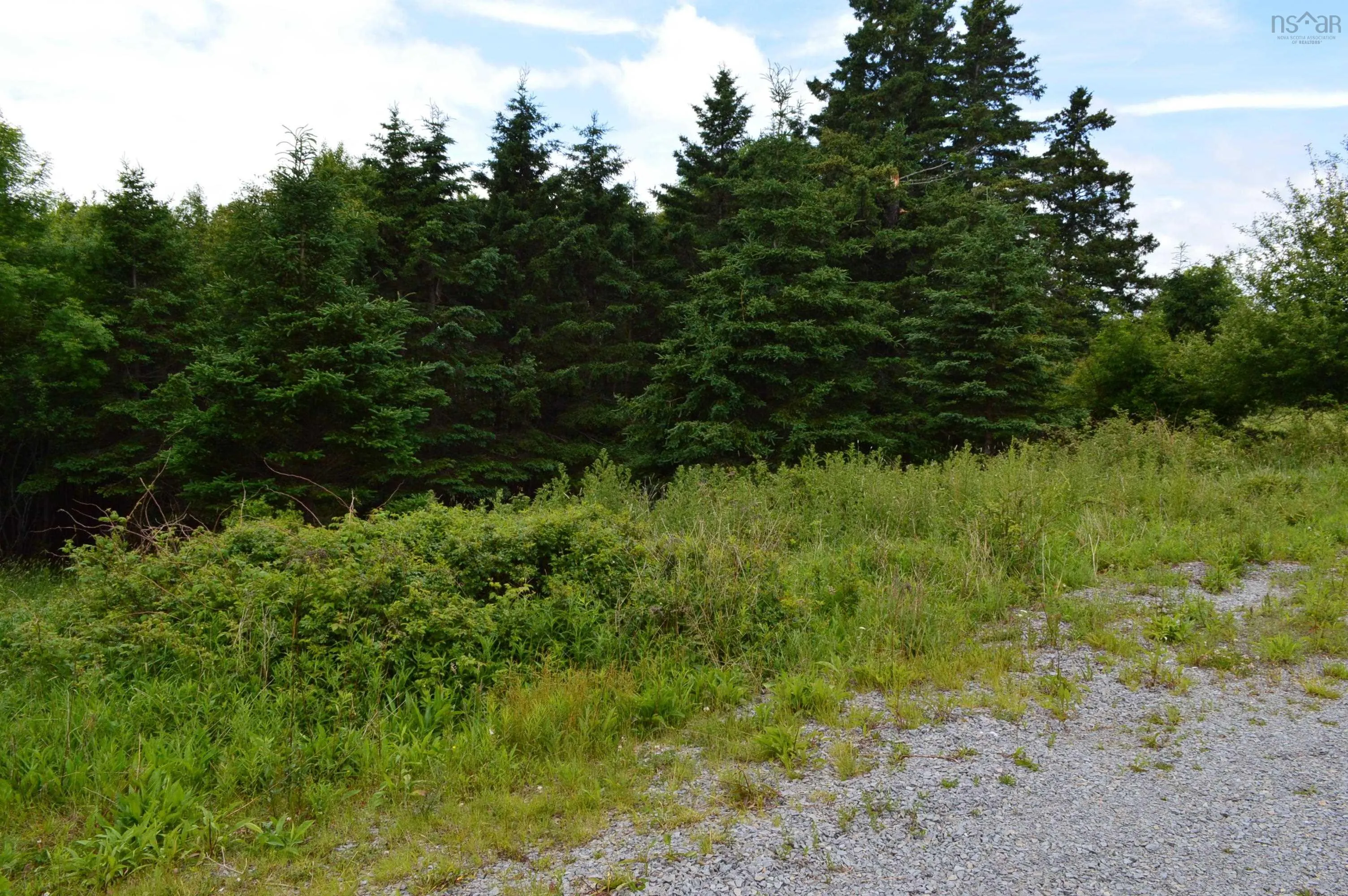 Portion Of 60169216 Blue Rocks Road, Garden Lots, NS B0J 2C0, ,Land,For Sale,Pid 60169216 Blue Rocks,202511266