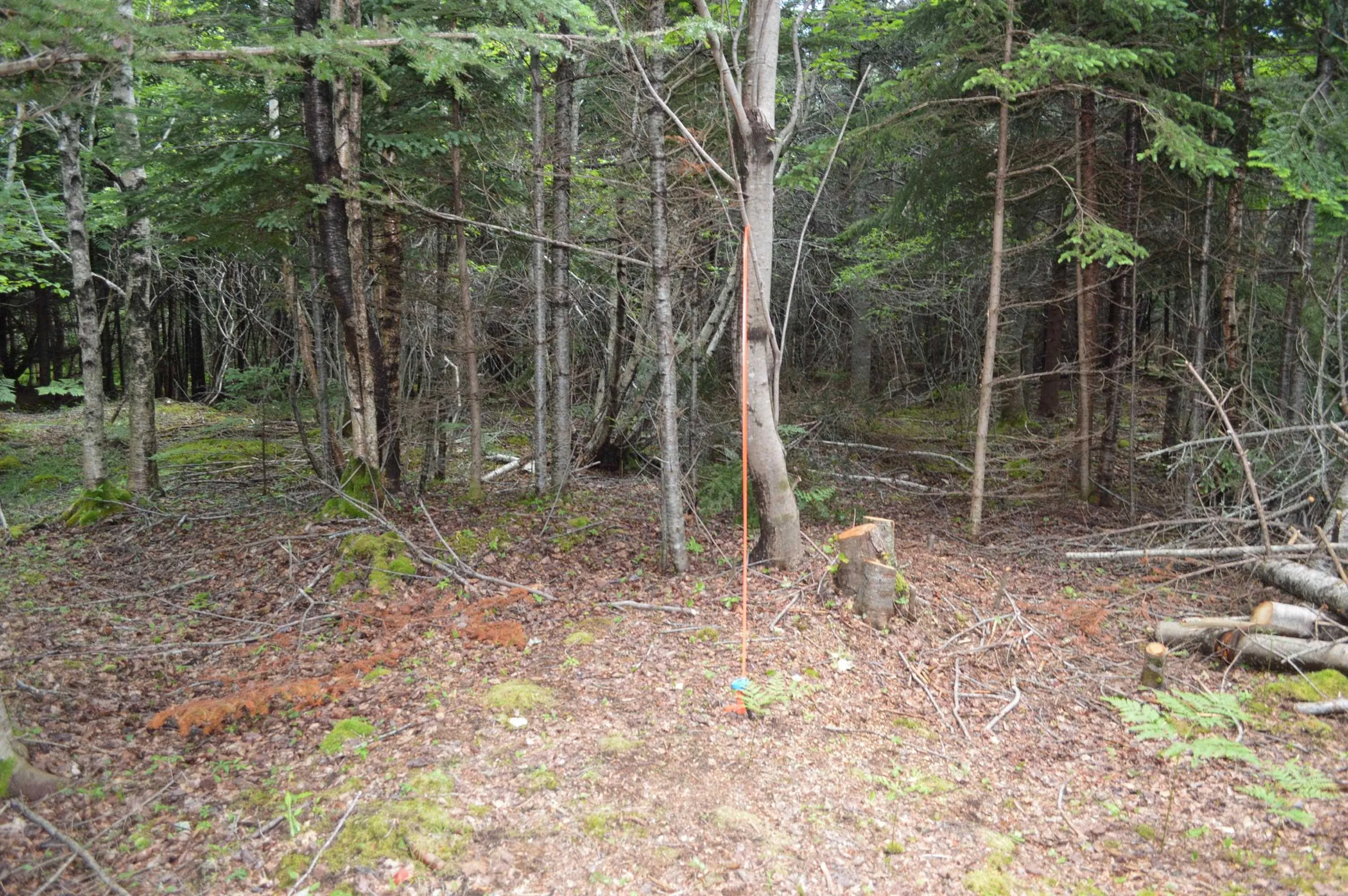 Portion Of 60169216 Blue Rocks Road, Garden Lots, NS B0J 2C0, ,Land,For Sale,Pid 60169216 Blue Rocks,202511266