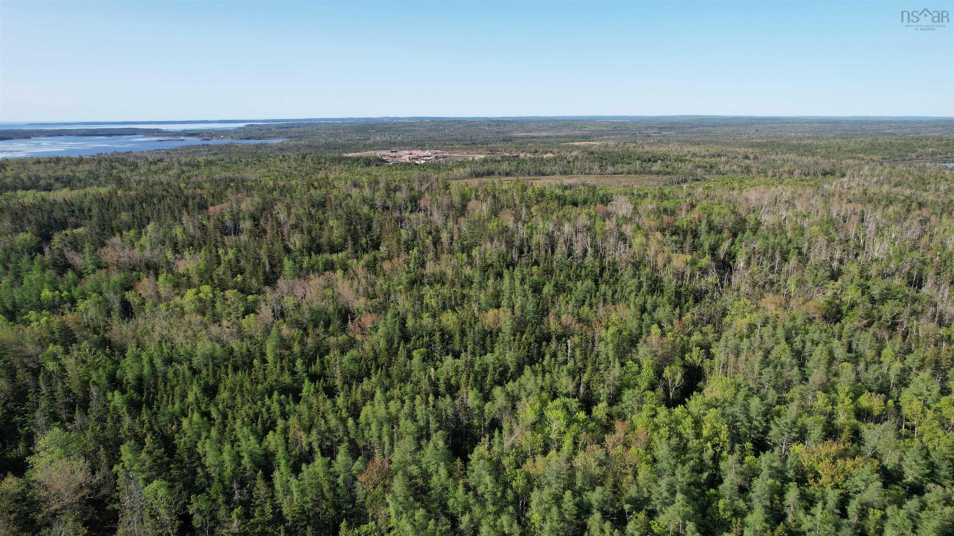 Birch Grove Road, Port Morien, NS B1B 1J3, ,Land,For Sale,Birch Grove,202513369