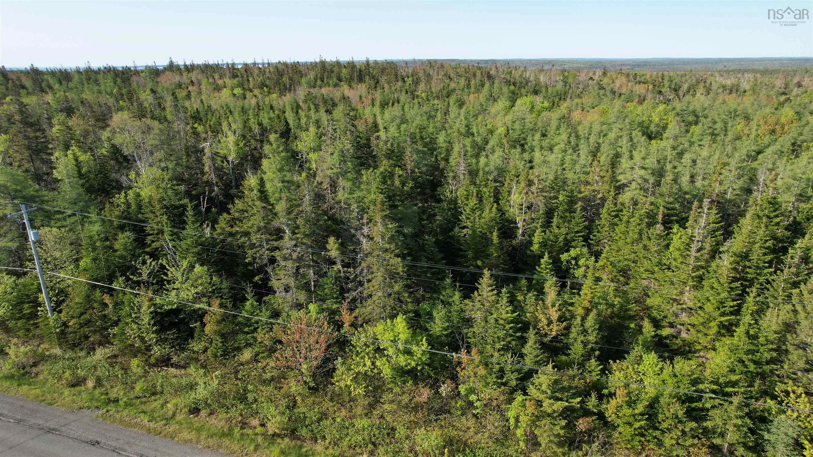 Birch Grove Road, Port Morien, NS B1B 1J3, ,Land,For Sale,Birch Grove,202513369