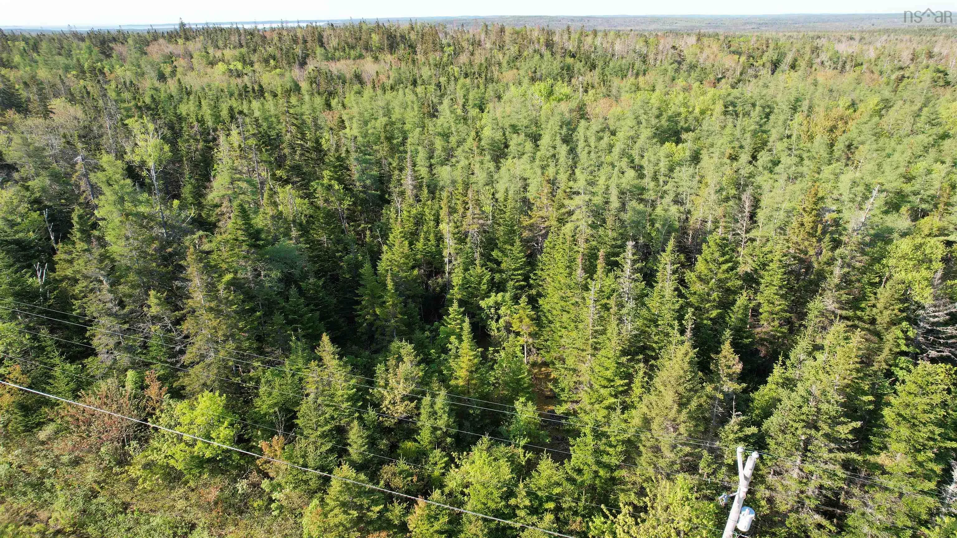 Birch Grove Road, Port Morien, NS B1B 1J3, ,Land,For Sale,Birch Grove,202513369