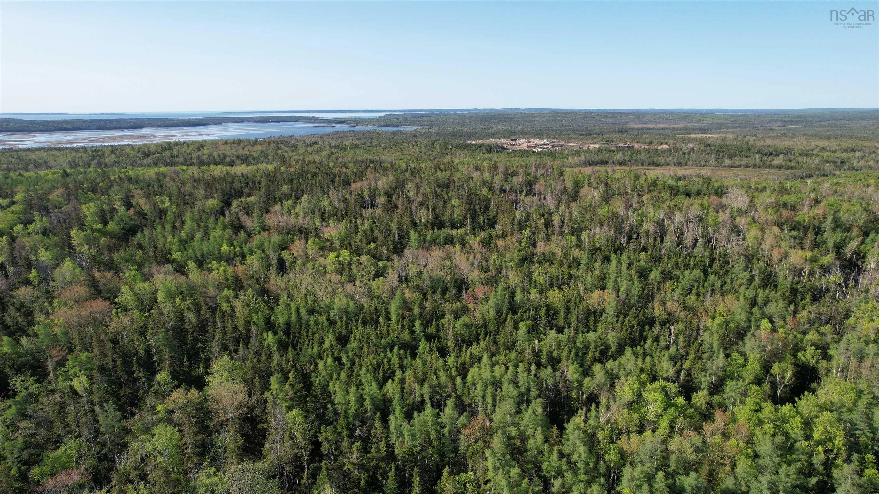 Birch Grove Road, Port Morien, NS B1B 1J3, ,Land,For Sale,Birch Grove,202513369