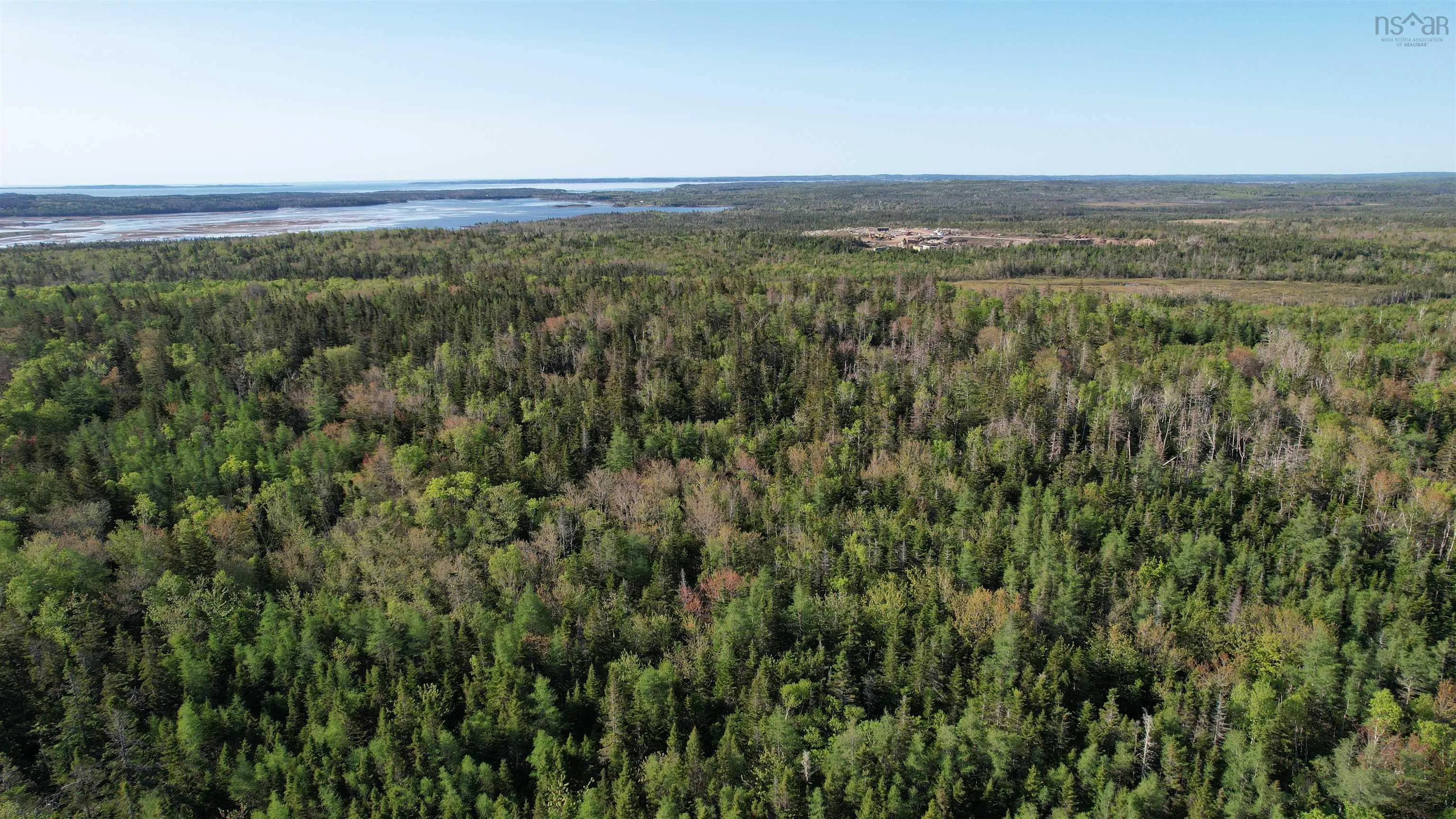 Birch Grove Road, Port Morien, NS B1B 1J3, ,Land,For Sale,Birch Grove,202513369