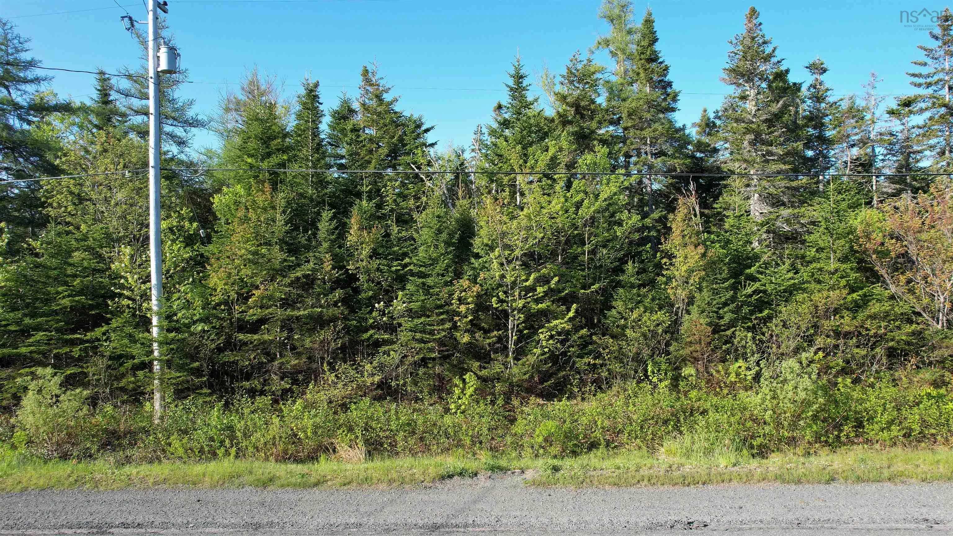Birch Grove Road, Port Morien, NS B1B 1J3, ,Land,For Sale,Birch Grove,202513369