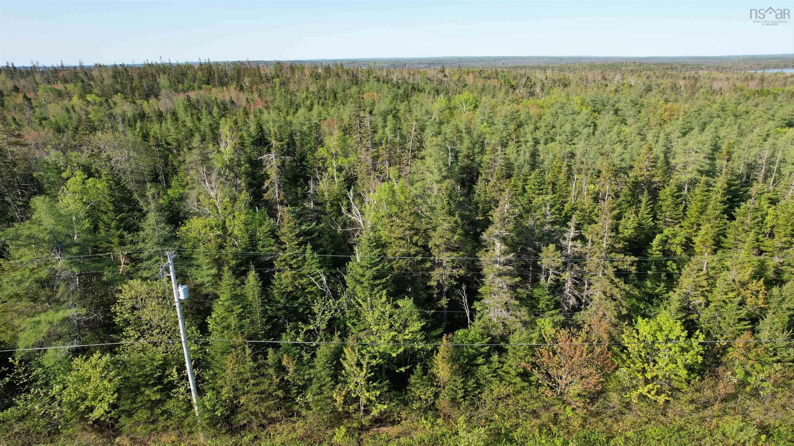 Birch Grove Road, Port Morien, NS B1B 1J3, ,Land,For Sale,Birch Grove,202513369