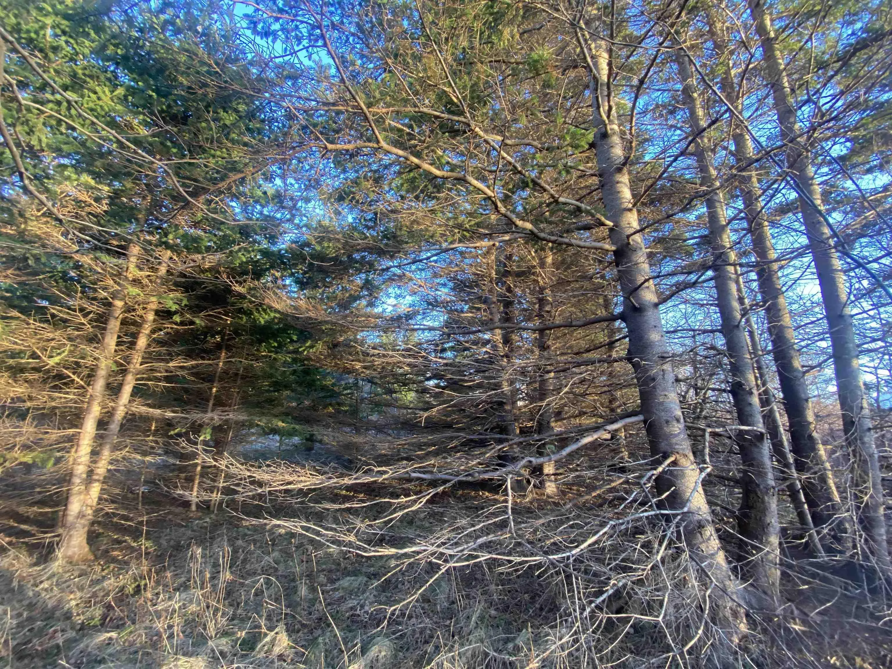 #101 Highway, Plympton Ns B0w 2r0, ,Land,For Sale,#101,202505538