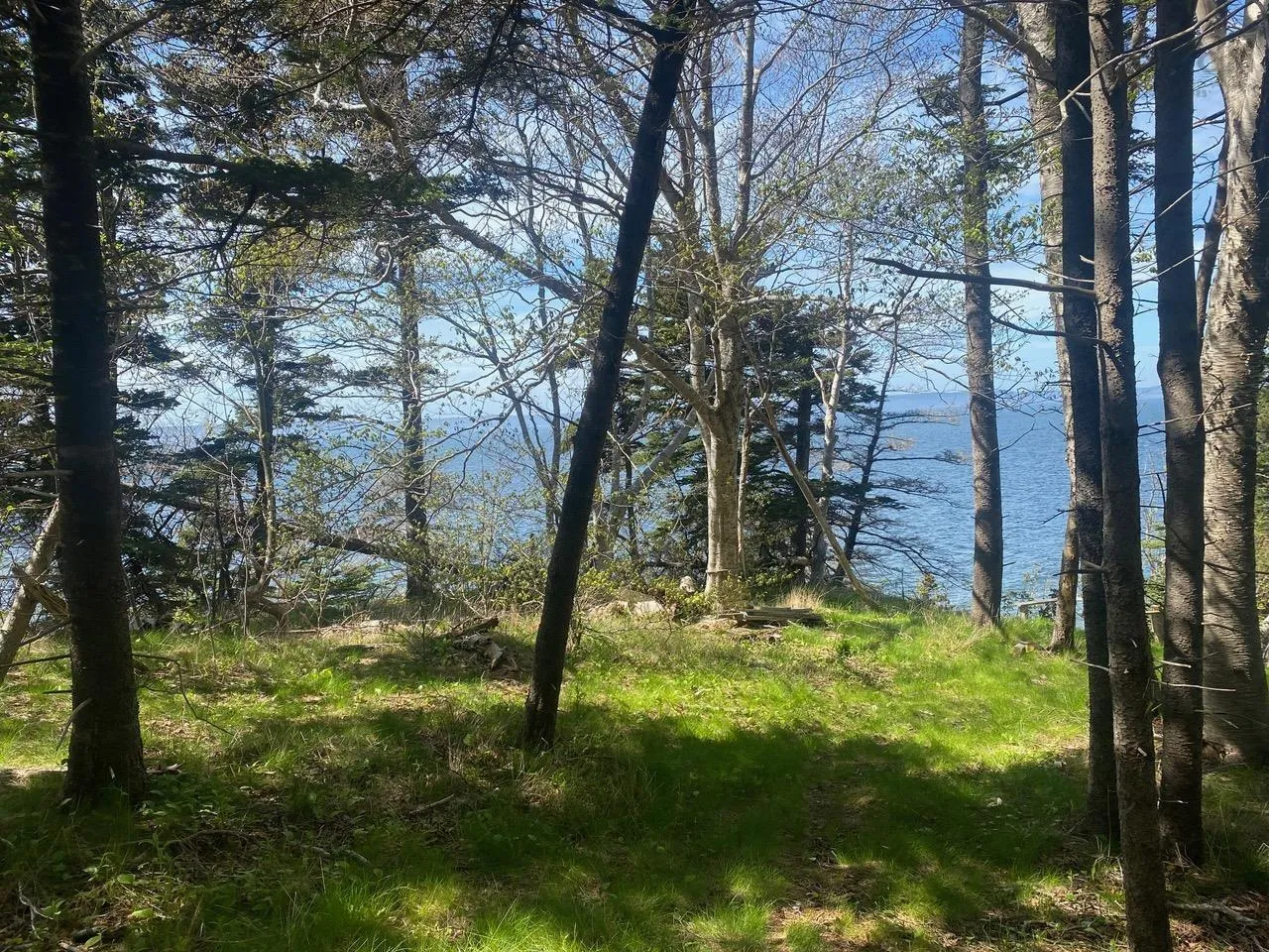 #101 Highway, Plympton Ns B0w 2r0, ,Land,For Sale,#101,202505538