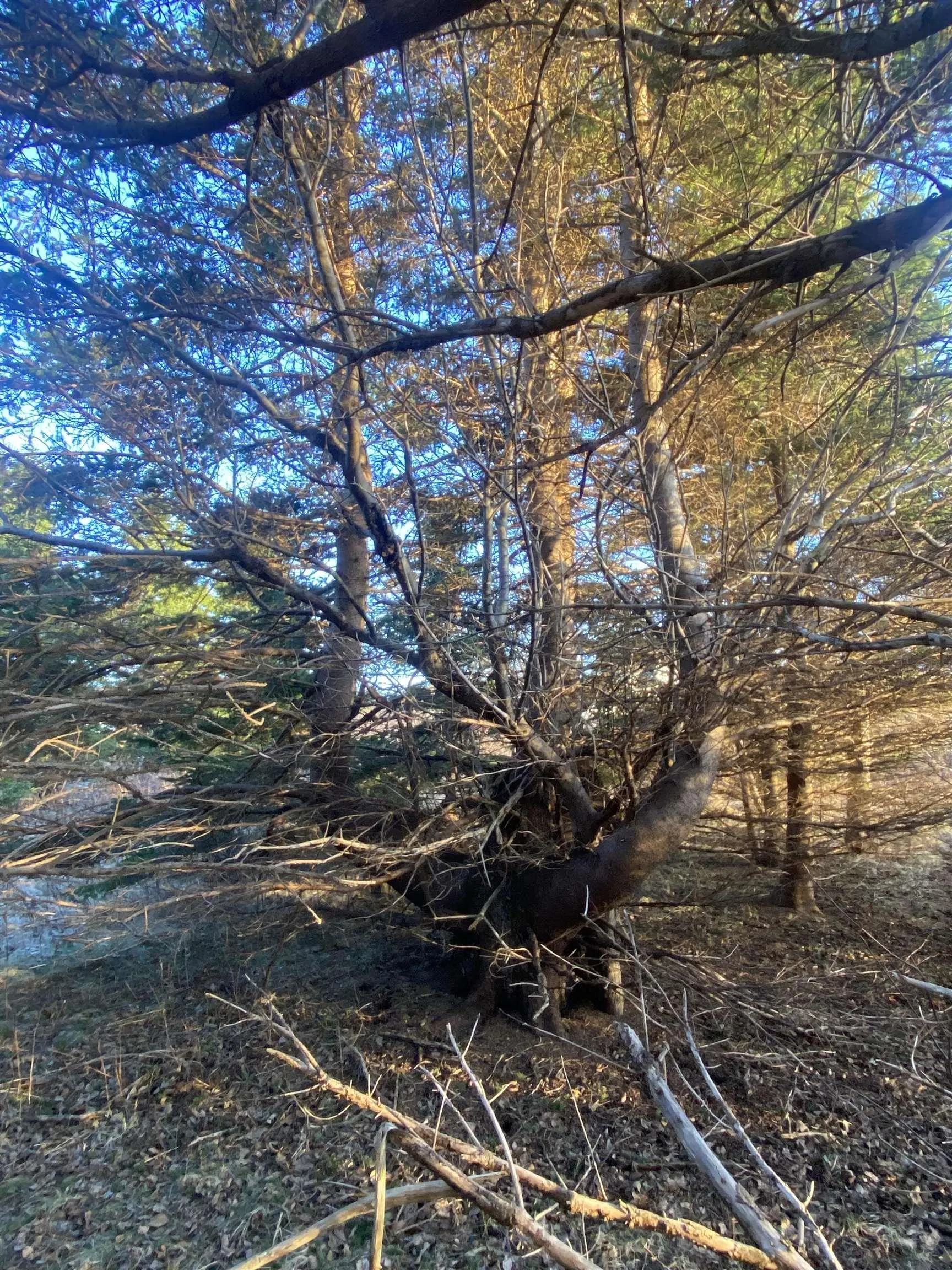 #101 Highway, Plympton Ns B0w 2r0, ,Land,For Sale,#101,202505538