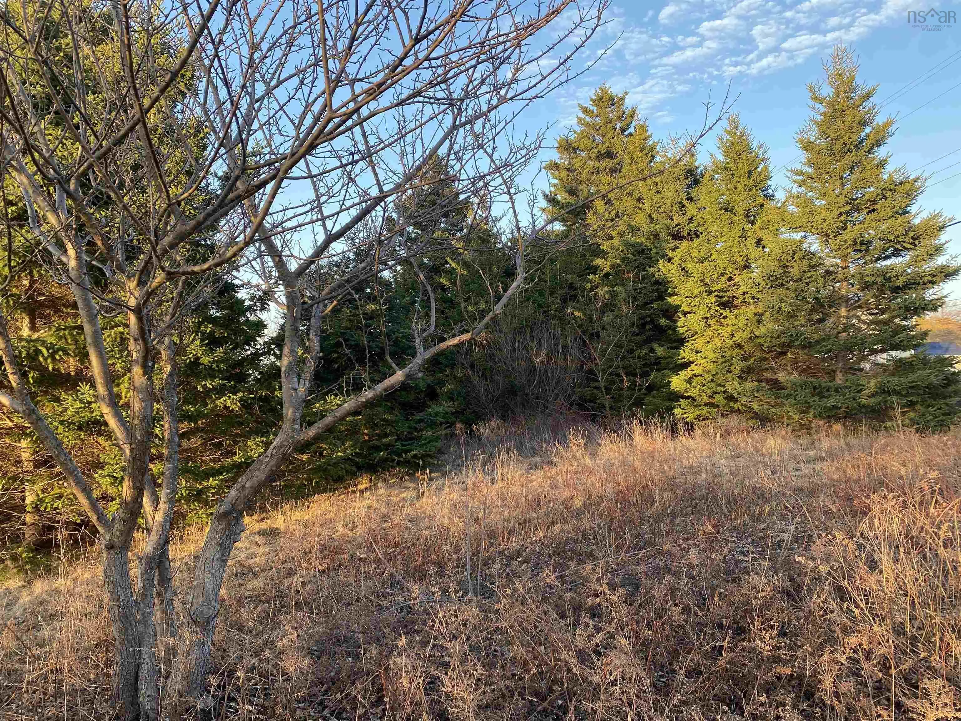 #101 Highway, Plympton Ns B0w 2r0, ,Land,For Sale,#101,202505538