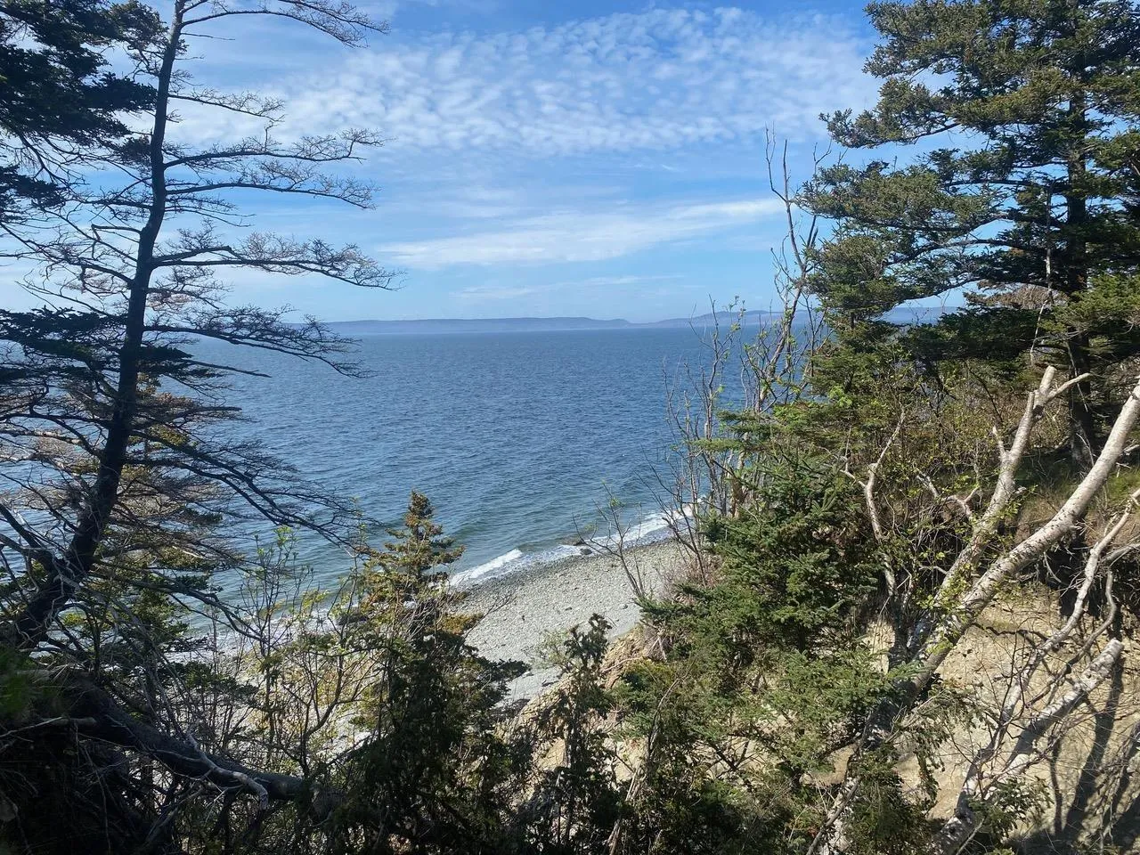 #101 Highway, Plympton Ns B0w 2r0, ,Land,For Sale,#101,202505538