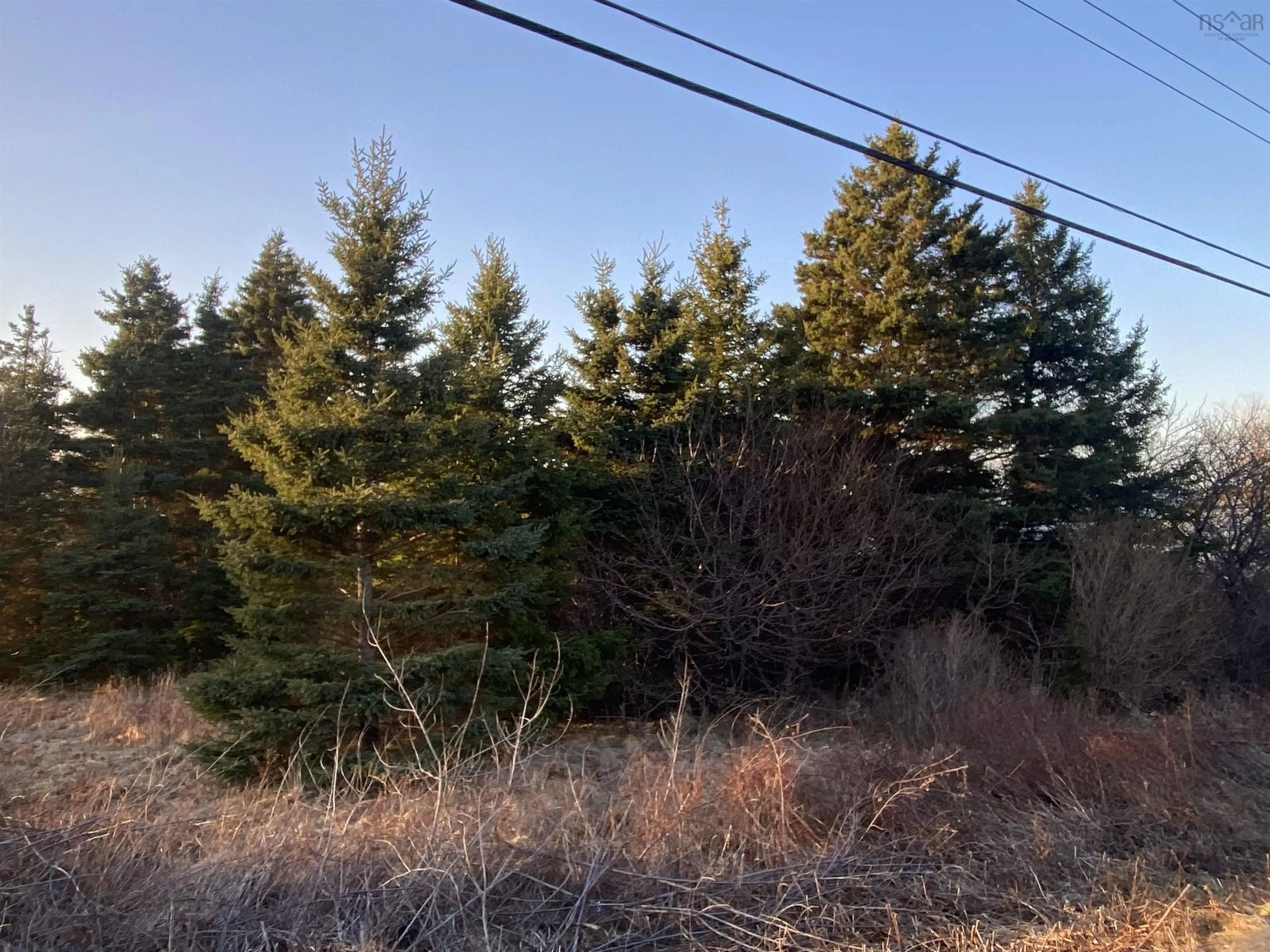 #101 Highway, Plympton Ns B0w 2r0, ,Land,For Sale,#101,202505538
