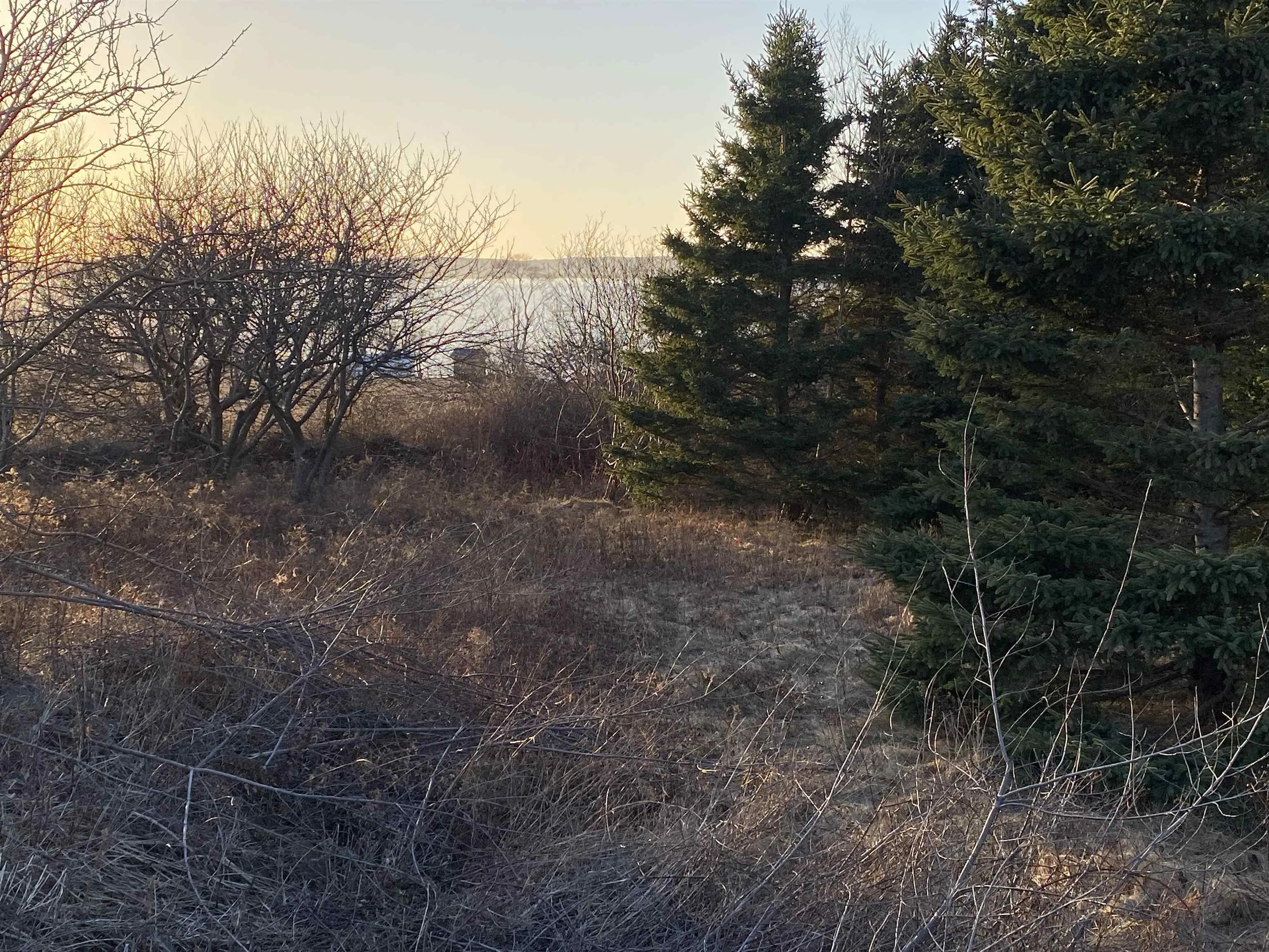 #101 Highway, Plympton Ns B0w 2r0, ,Land,For Sale,#101,202505538