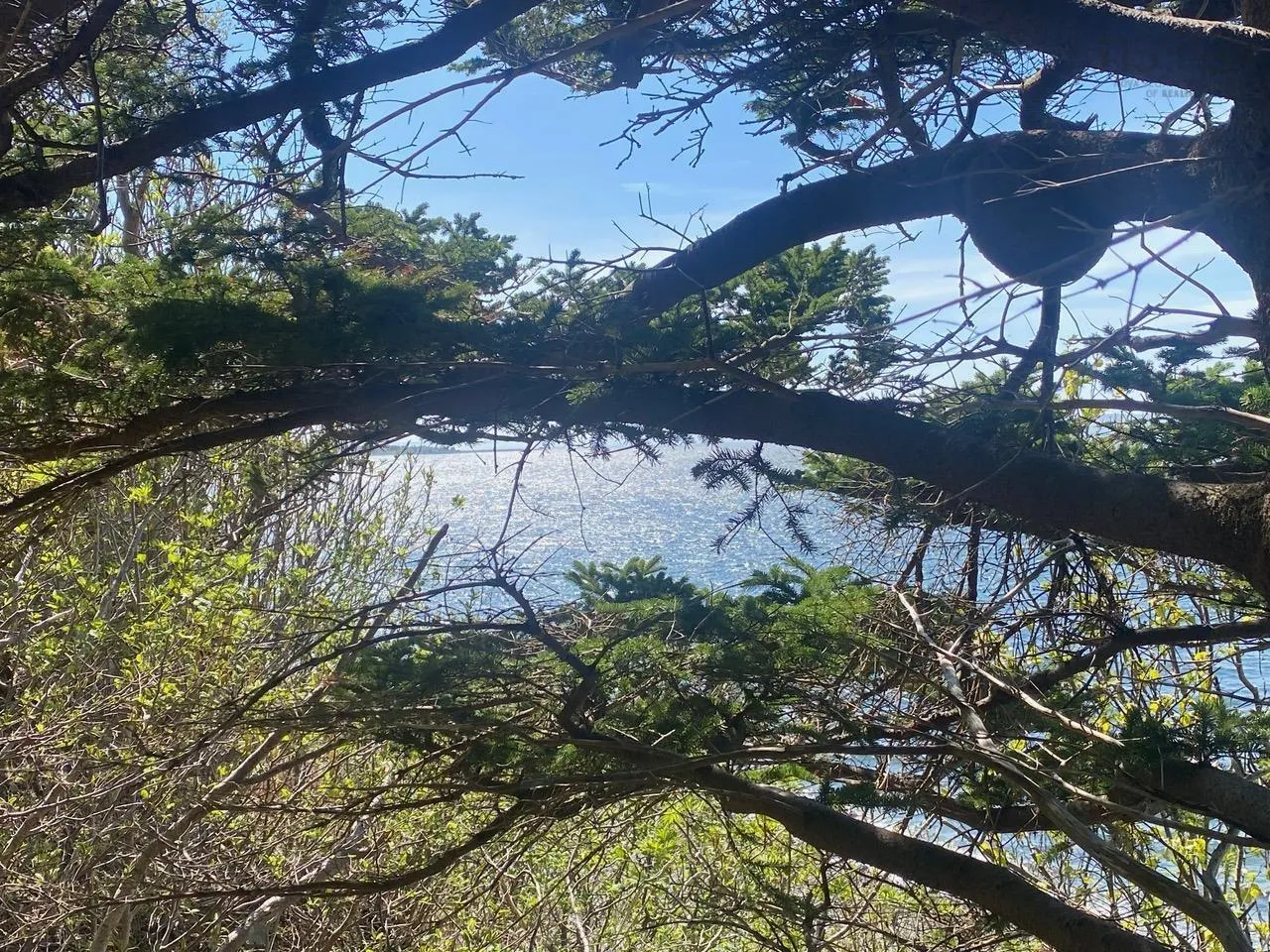 #101 Highway, Plympton Ns B0w 2r0, ,Land,For Sale,#101,202505538