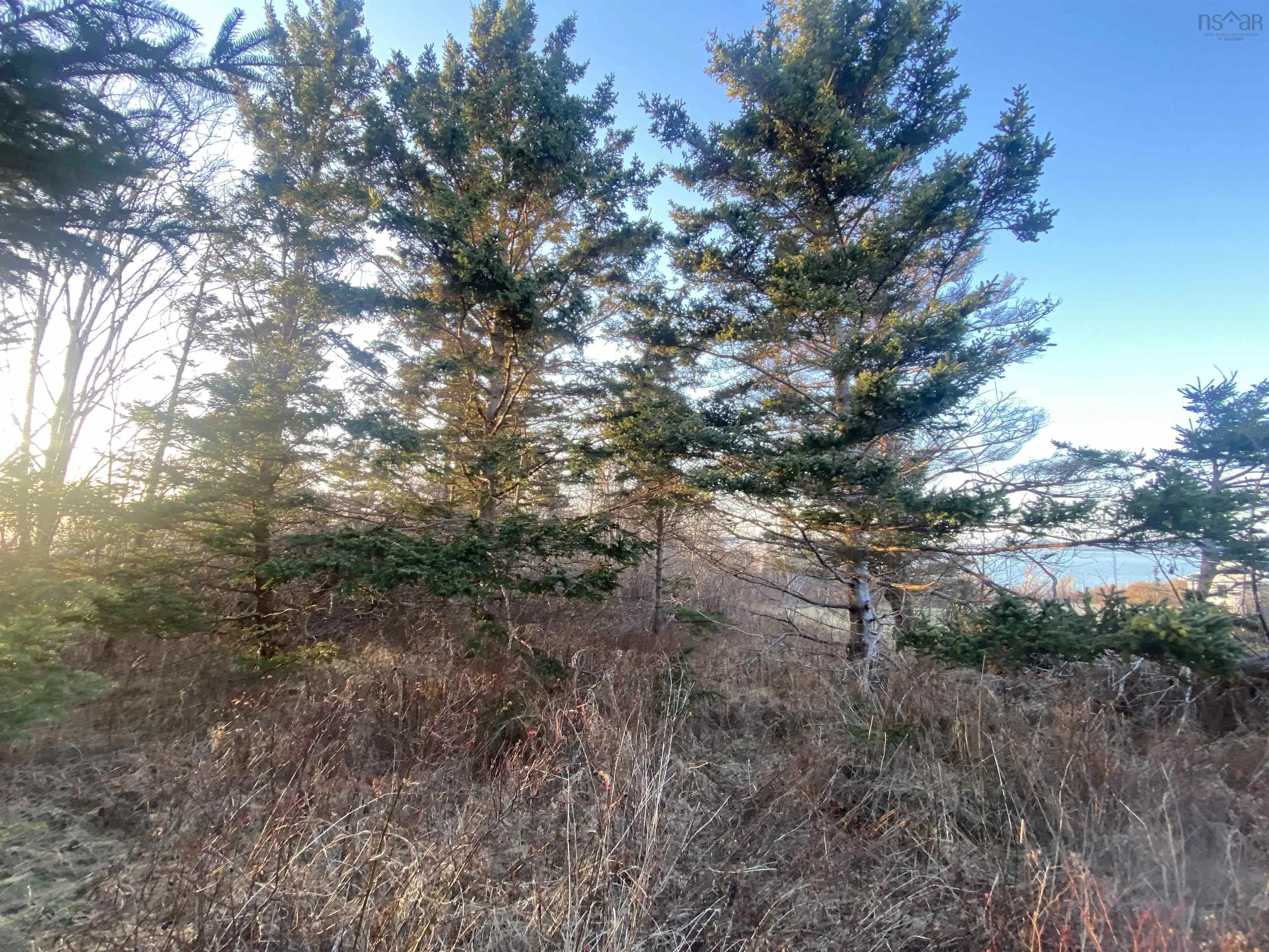 #101 Highway, Plympton Ns B0w 2r0, ,Land,For Sale,#101,202505538