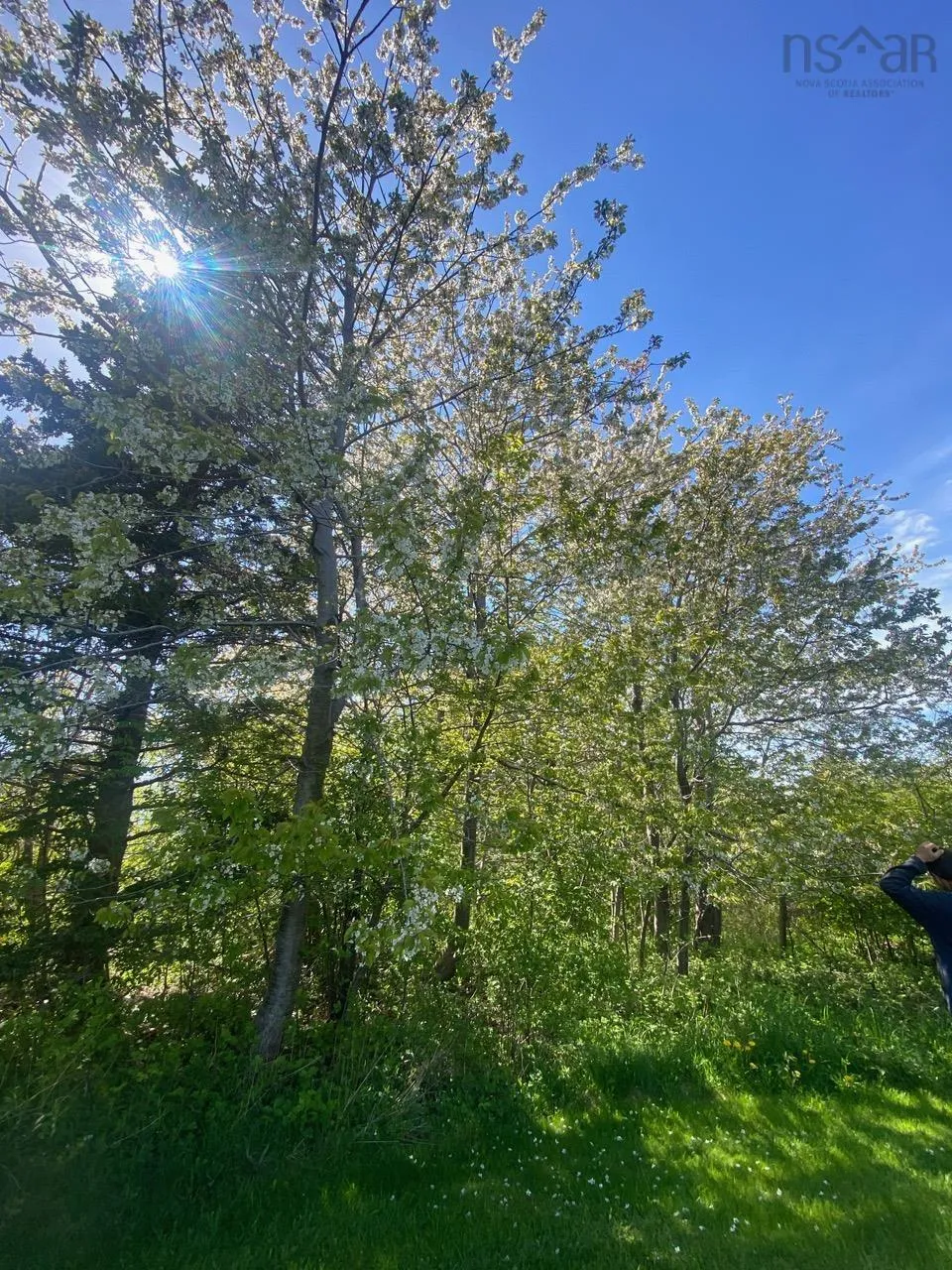 #101 Highway, Plympton Ns B0w 2r0, ,Land,For Sale,#101,202505538