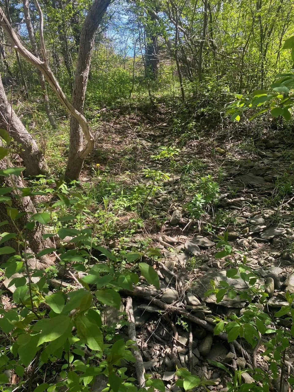 #101 Highway, Plympton Ns B0w 2r0, ,Land,For Sale,#101,202505538