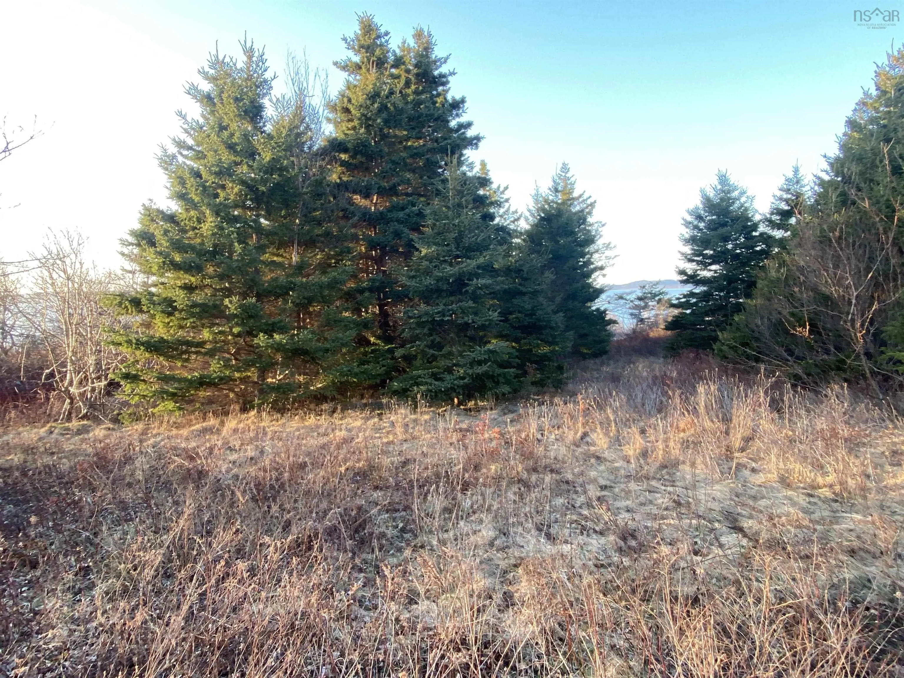 #101 Highway, Plympton Ns B0w 2r0, ,Land,For Sale,#101,202505538