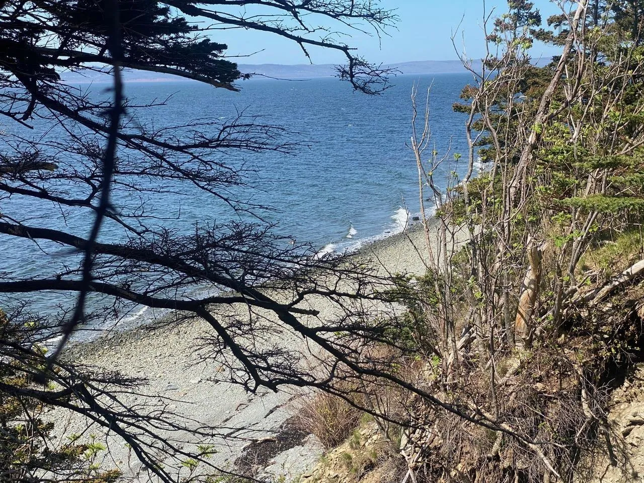 #101 Highway, Plympton Ns B0w 2r0, ,Land,For Sale,#101,202505538