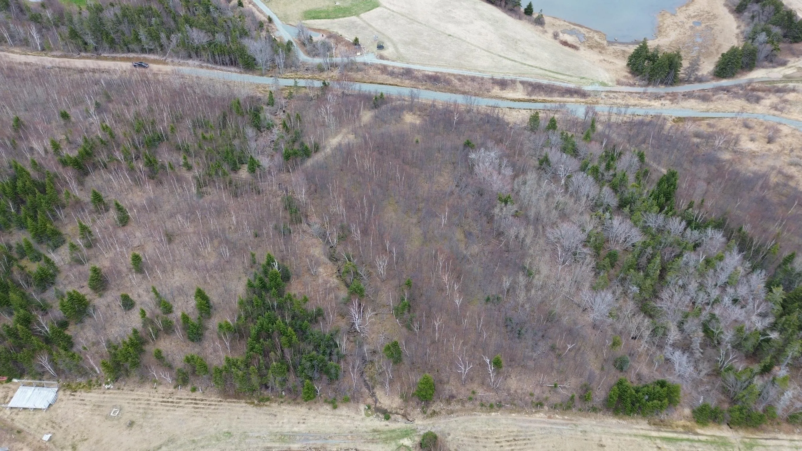 Marble Hill Road Lot 5, Port Hood Ns B0e 2w0, ,Land,For Sale,Marble Hill,202501389
