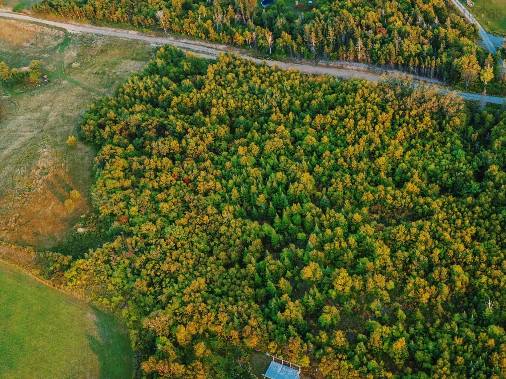 Marble Hill Road Lot 5, Port Hood Ns B0e 2w0, ,Land,For Sale,Marble Hill,202501389