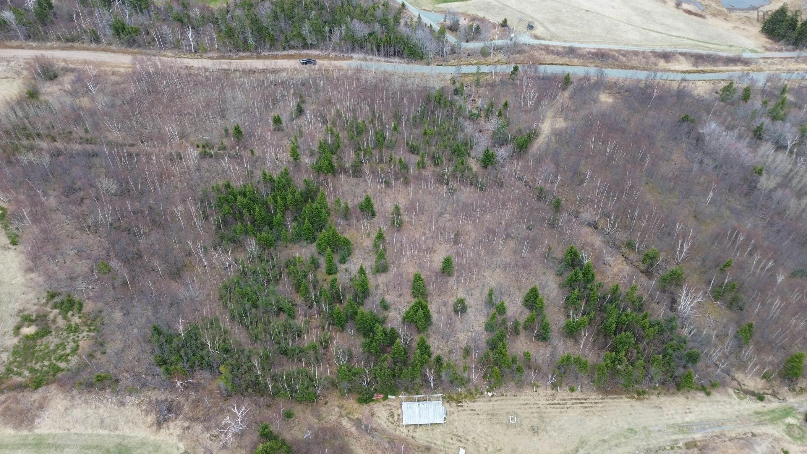 Marble Hill Road Lot 5, Port Hood Ns B0e 2w0, ,Land,For Sale,Marble Hill,202501389