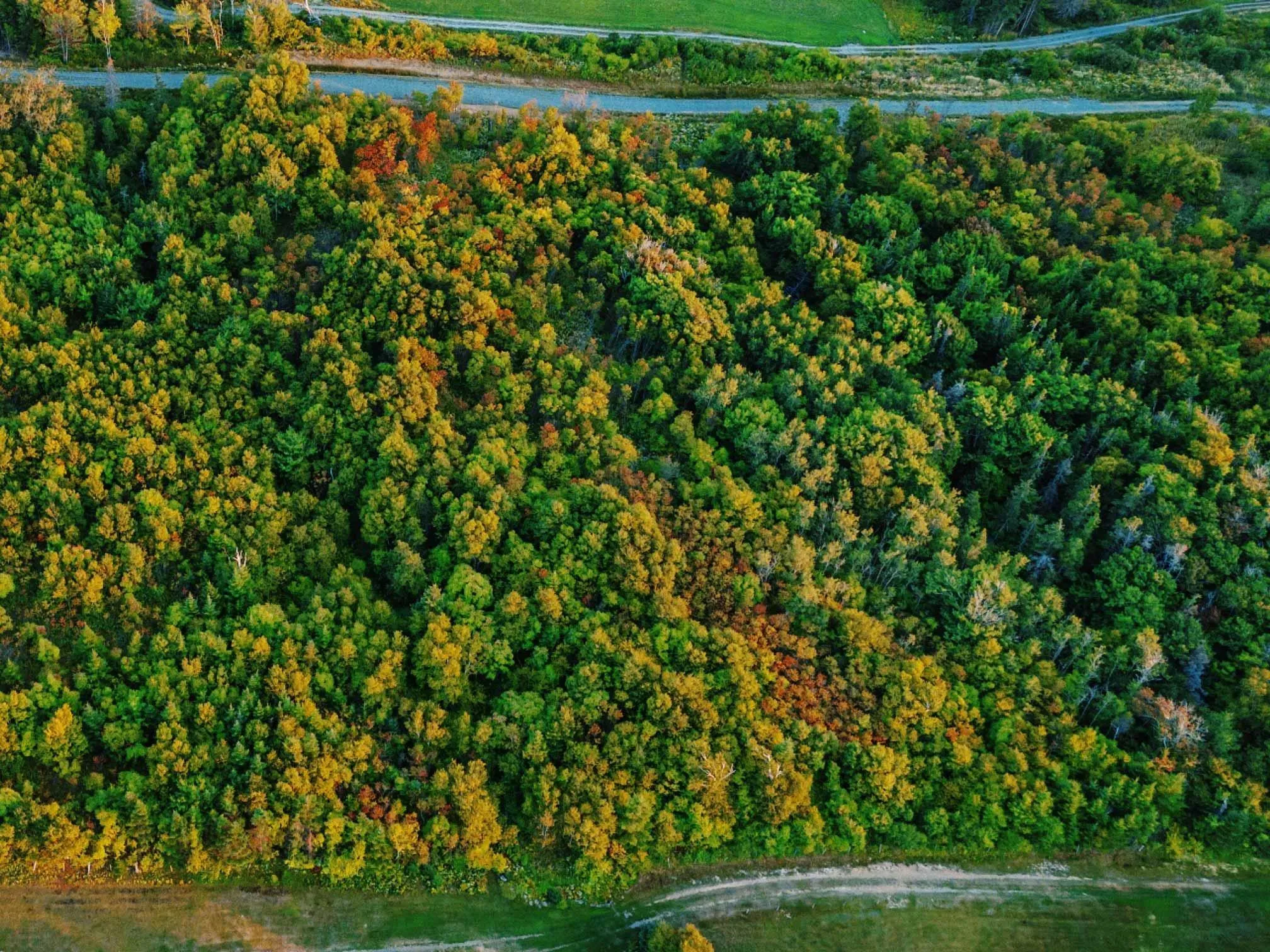 Marble Hill Road Lot 5, Port Hood Ns B0e 2w0, ,Land,For Sale,Marble Hill,202501389