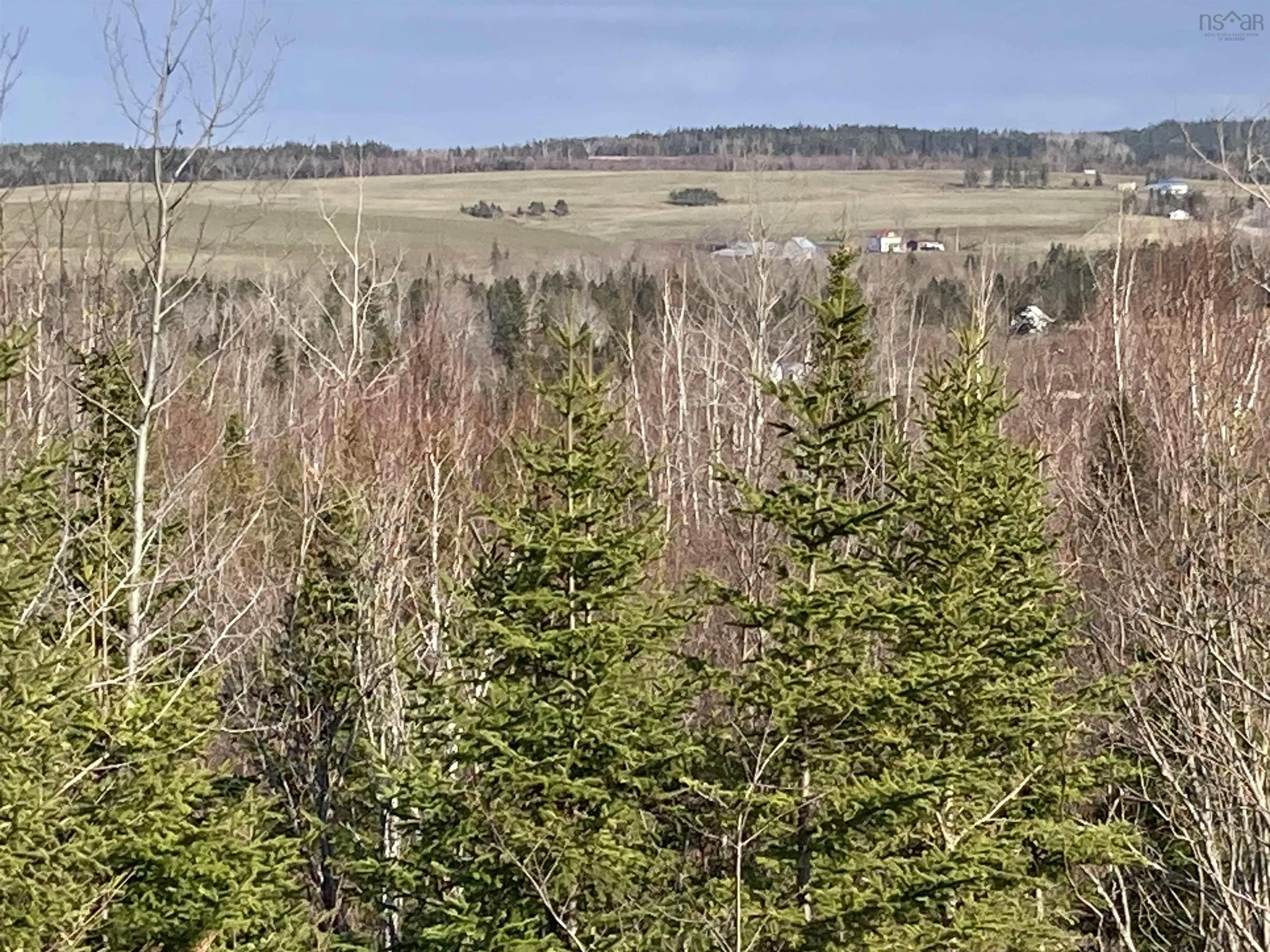 Lot 21-11 Mary Cecelia Ridge, Antigonish County Ns B0h 1p0, ,Land,For Sale,Mary Cecelia Ridge,202509475