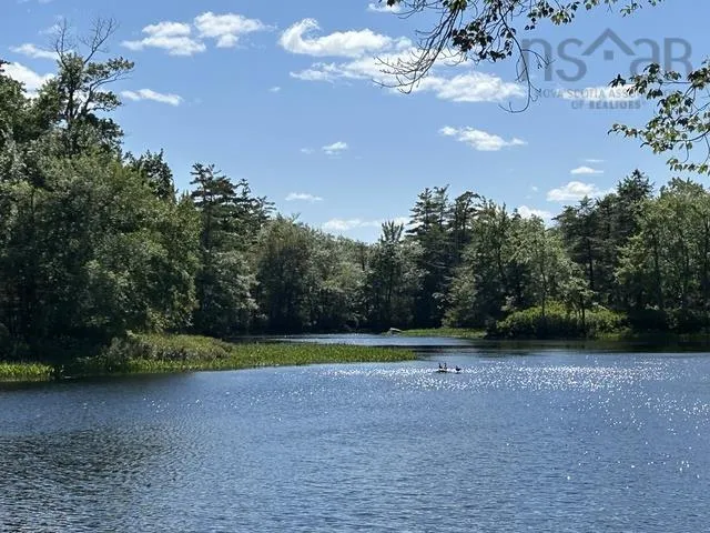 78 Green Island Road, Lower Ohio Ns B0t 1w0, 3 Bedrooms Bedrooms, ,2 BathroomsBathrooms,Residential,For Sale,Green Island,202420928