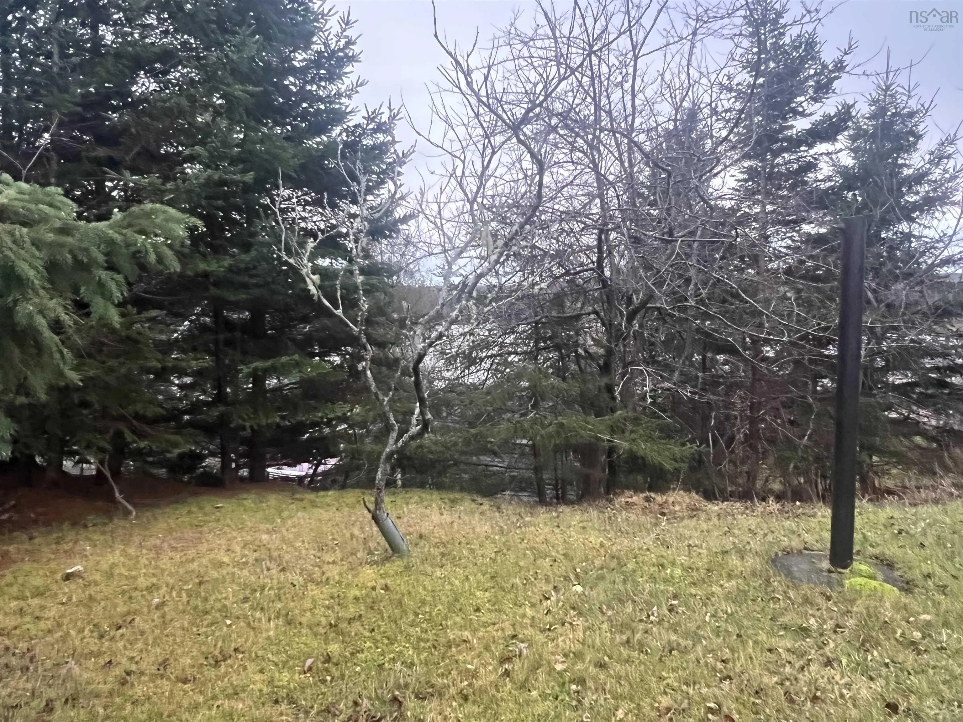 4014 Sonora Road, Sherbrooke, NS B0J 3C0, 2 Bedrooms Bedrooms, ,1 BathroomBathrooms,Residential,For Sale,Sonora,202511176