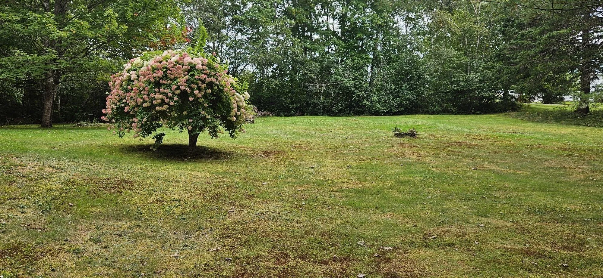 940 East Dalhousie Road, East Dalhousie Ns B0r 1h0, 2 Bedrooms Bedrooms, ,2 BathroomsBathrooms,Residential,For Sale,East Dalhousie,202508755