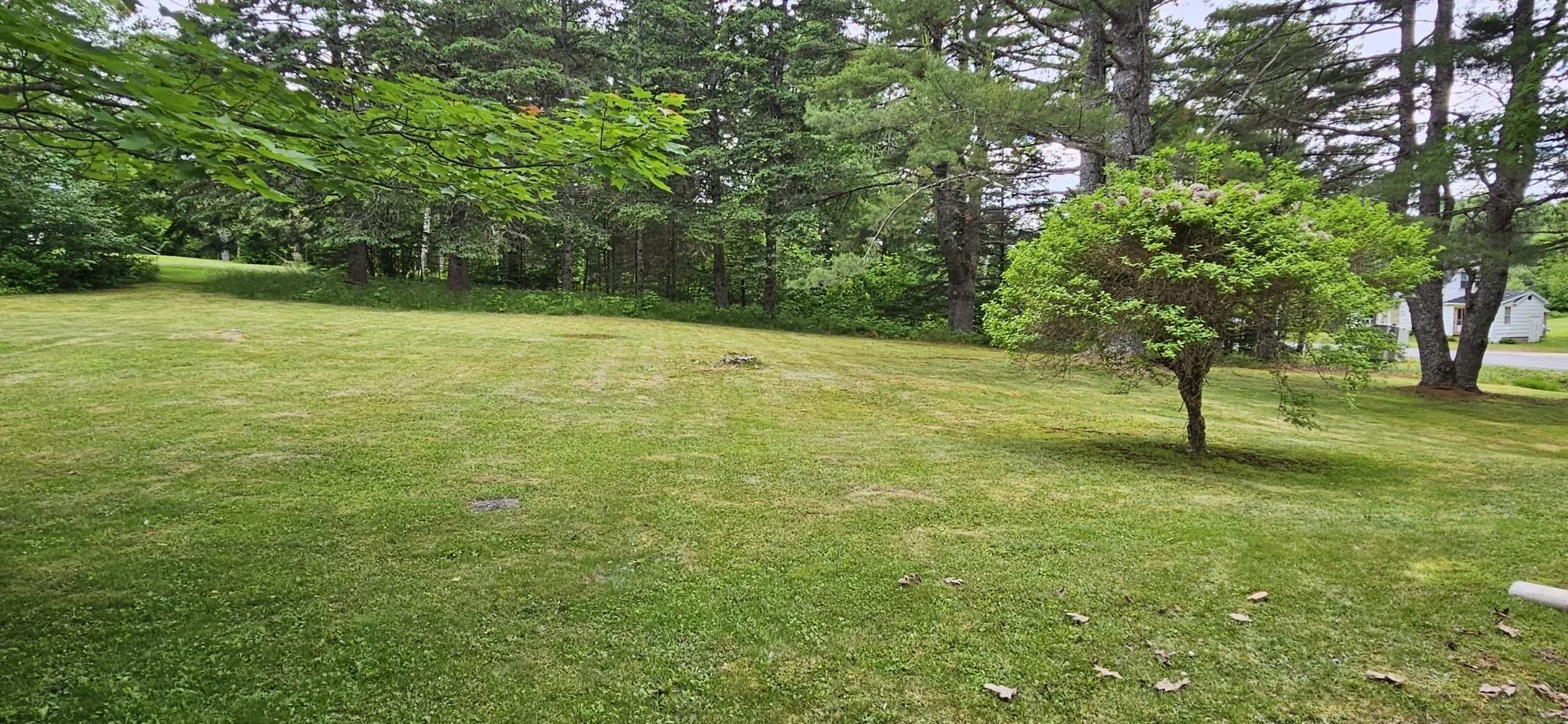 940 East Dalhousie Road, East Dalhousie Ns B0r 1h0, 2 Bedrooms Bedrooms, ,2 BathroomsBathrooms,Residential,For Sale,East Dalhousie,202508755