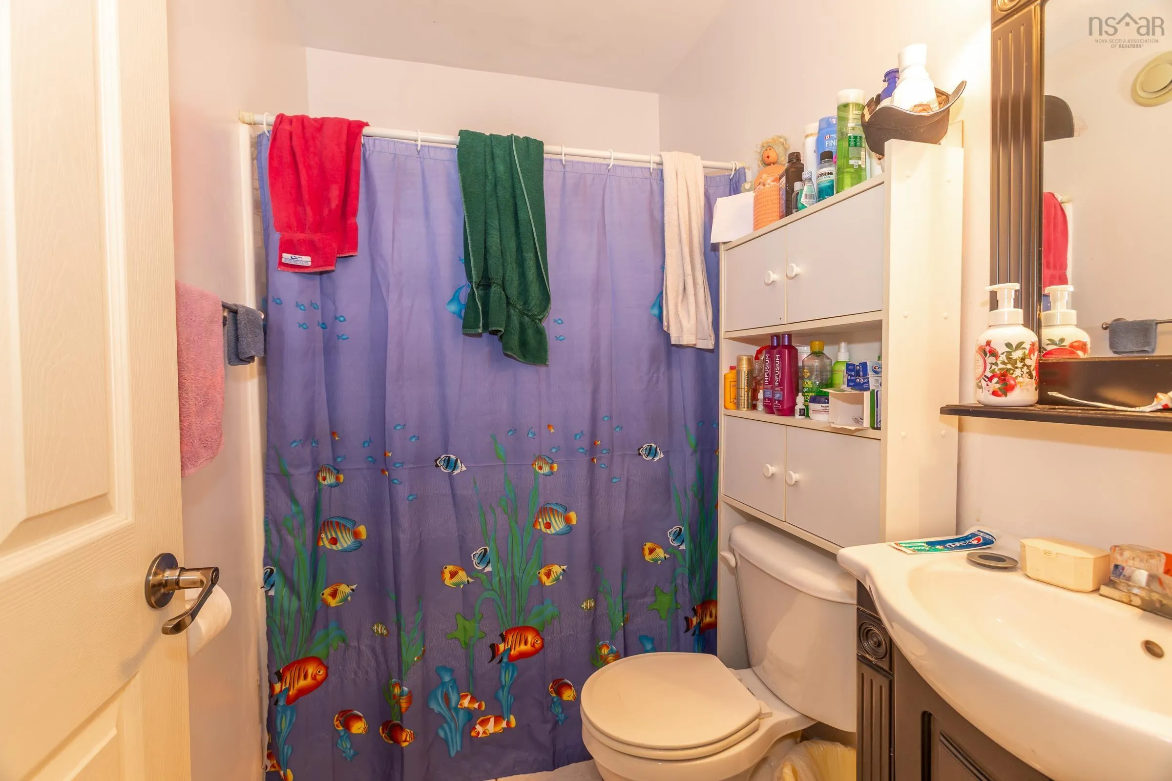 437 Main Street, Middleton, NS B0P 1M0, 3 Bedrooms Bedrooms, ,1 BathroomBathrooms,Residential,For Sale,Main,202519351