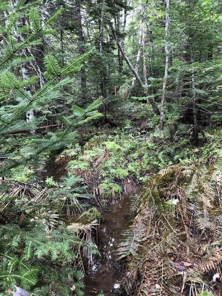 Brook Street, Fletchers Lake, NS B2T 1A5, ,Land,For Sale,Brook,202522038