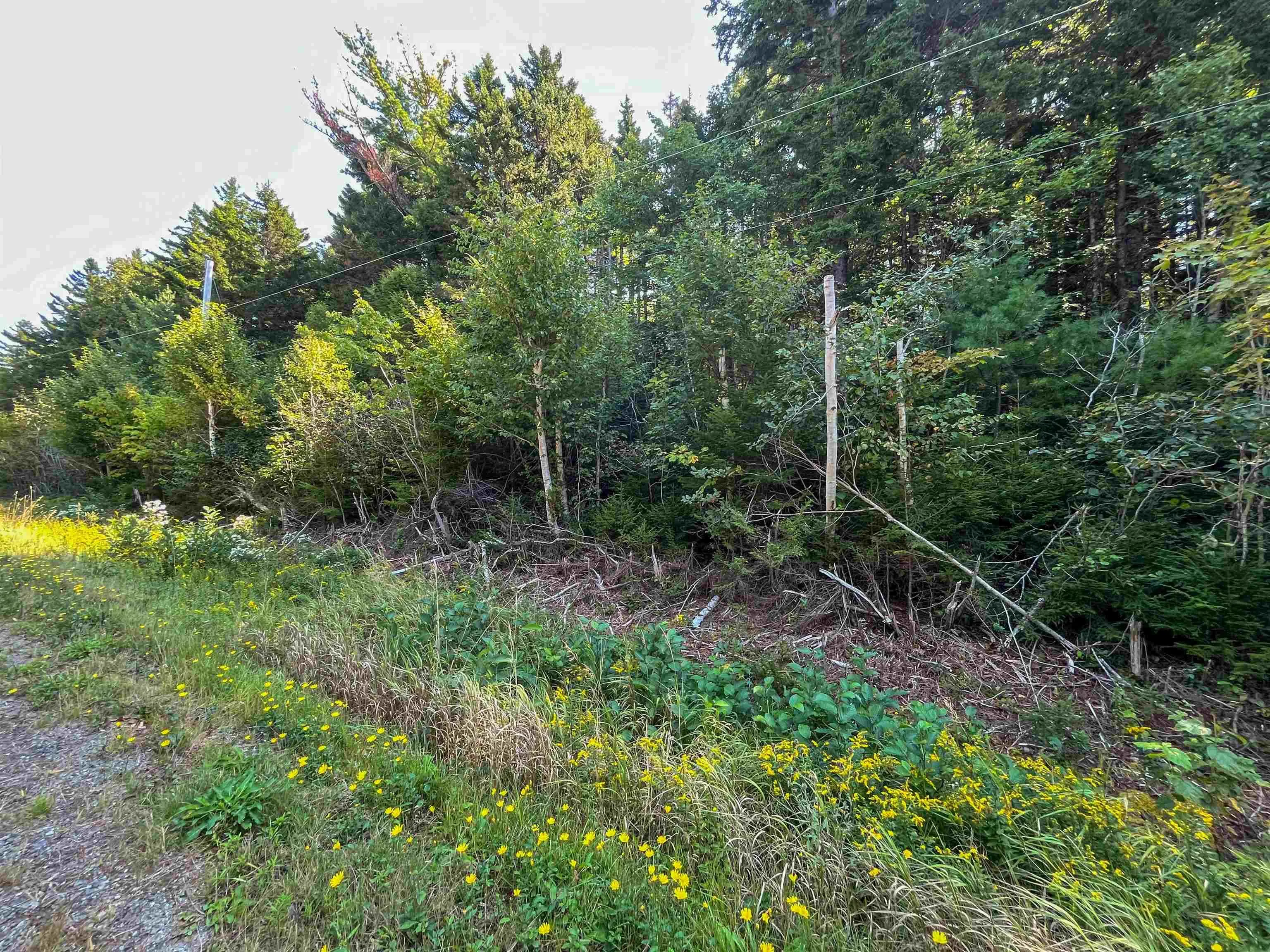 Thibault Road, St. Joseph Ns B0w 1m0, ,Land,For Sale,Thibault,202507060