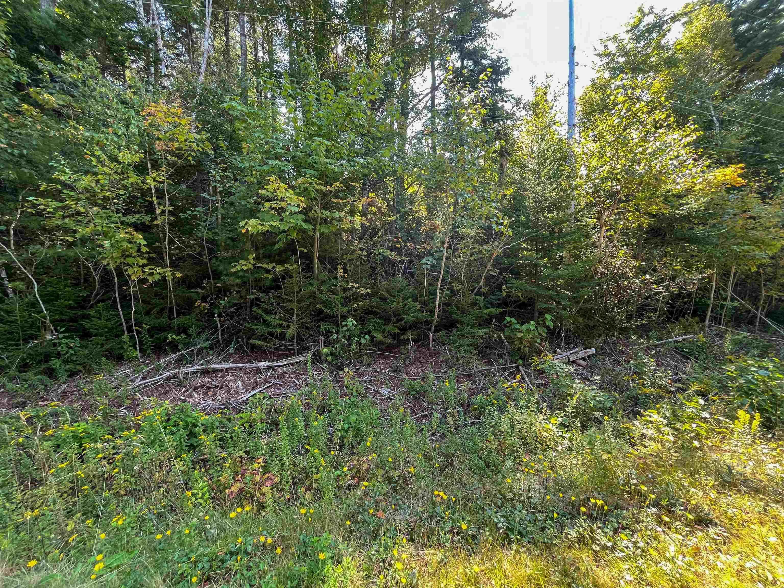 Thibault Road, St. Joseph Ns B0w 1m0, ,Land,For Sale,Thibault,202507060