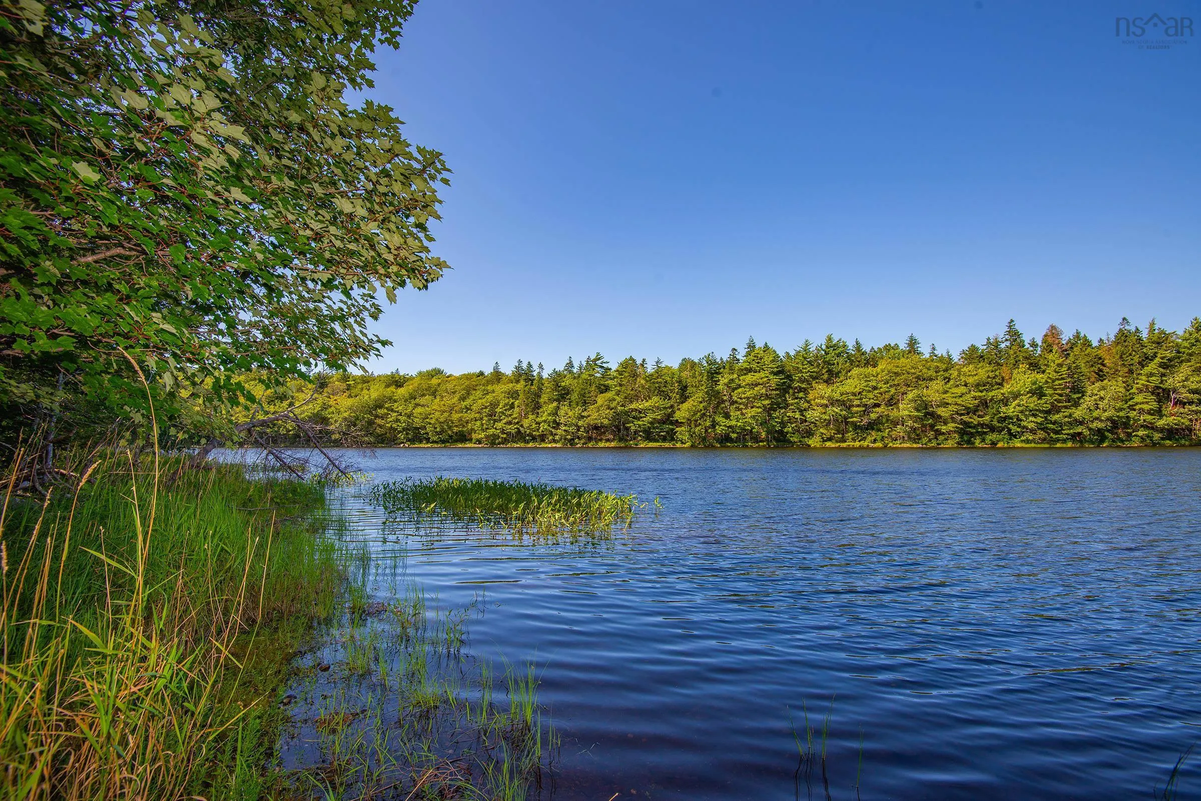 Lake Fanning Road Lot 1, Carleton Ns B5a 5r2, ,Land,For Sale,Lake Fanning,202419771
