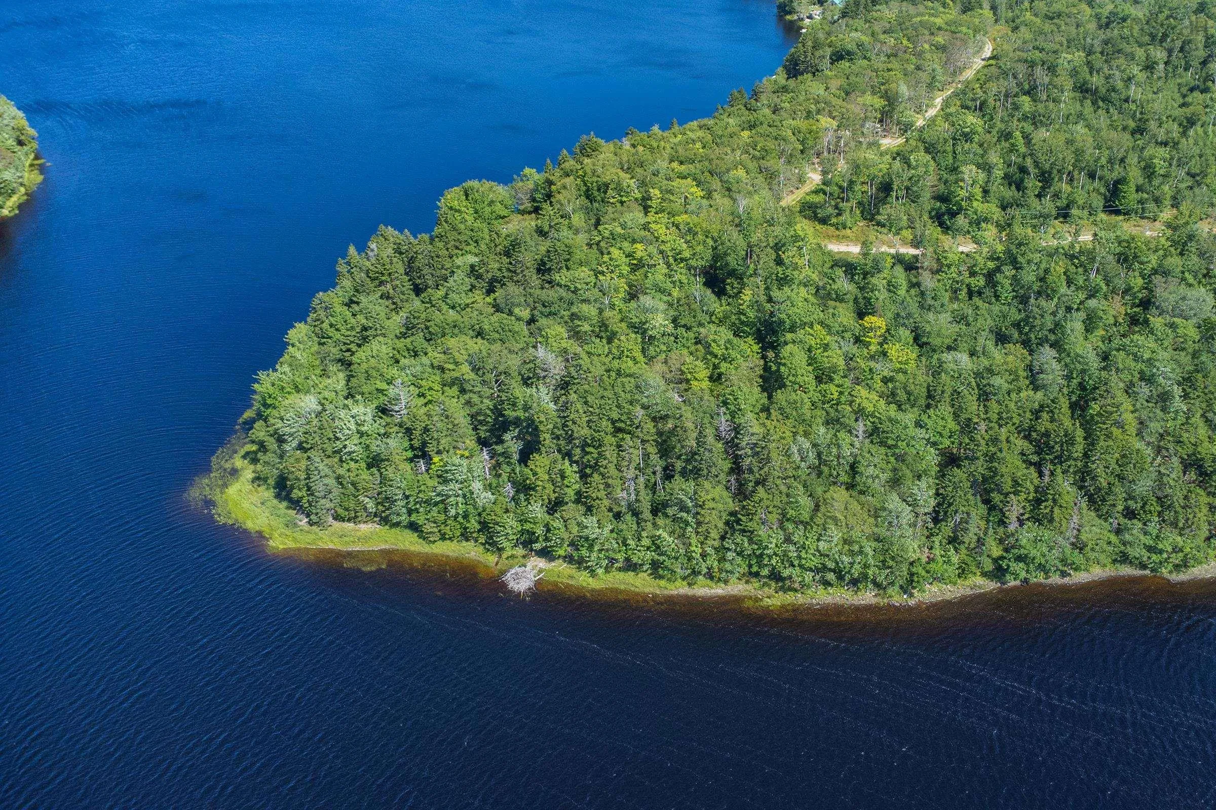 Lake Fanning Road Lot 1, Carleton Ns B5a 5r2, ,Land,For Sale,Lake Fanning,202419771