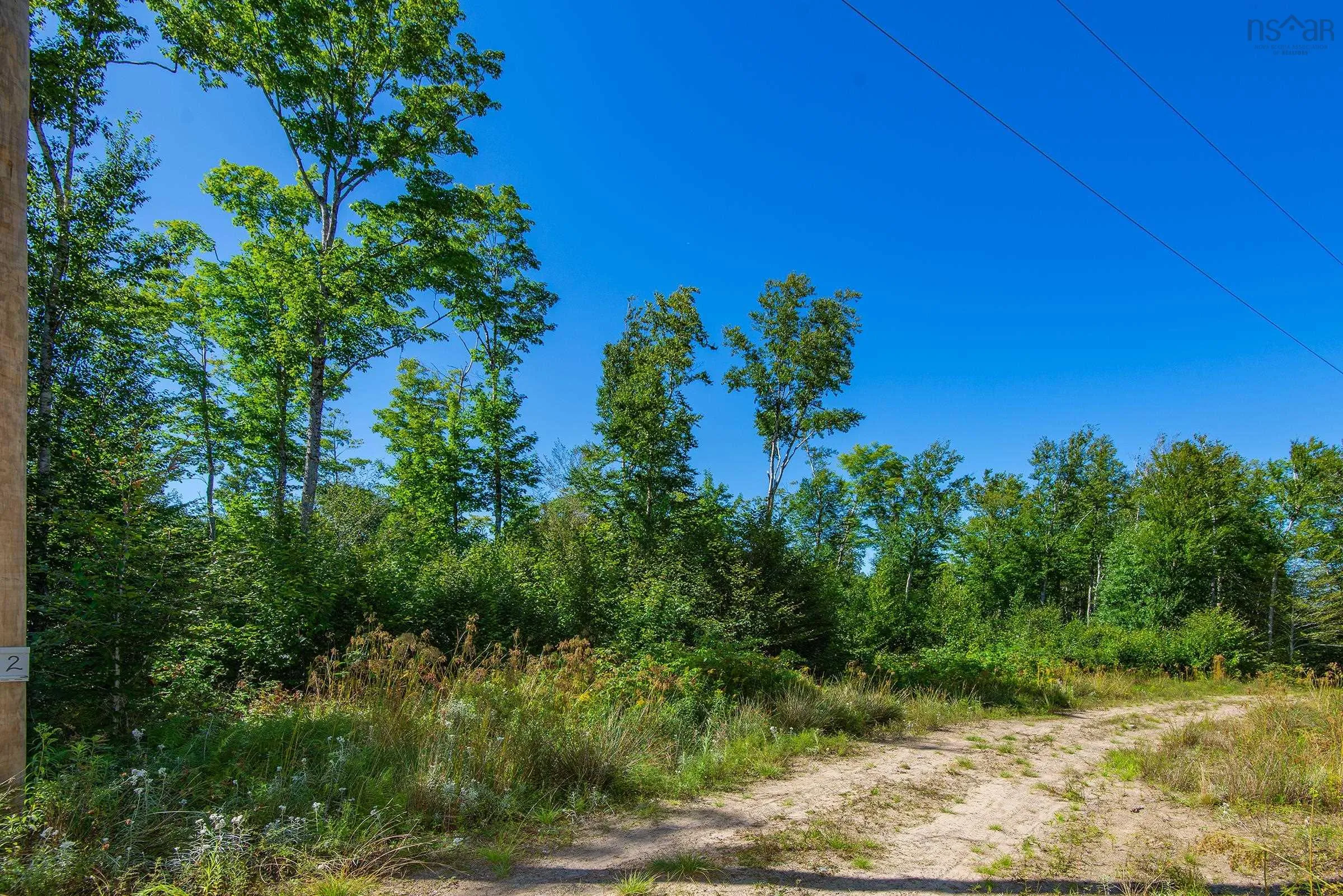 Lake Fanning Road Lot 1, Carleton Ns B5a 5r2, ,Land,For Sale,Lake Fanning,202419771
